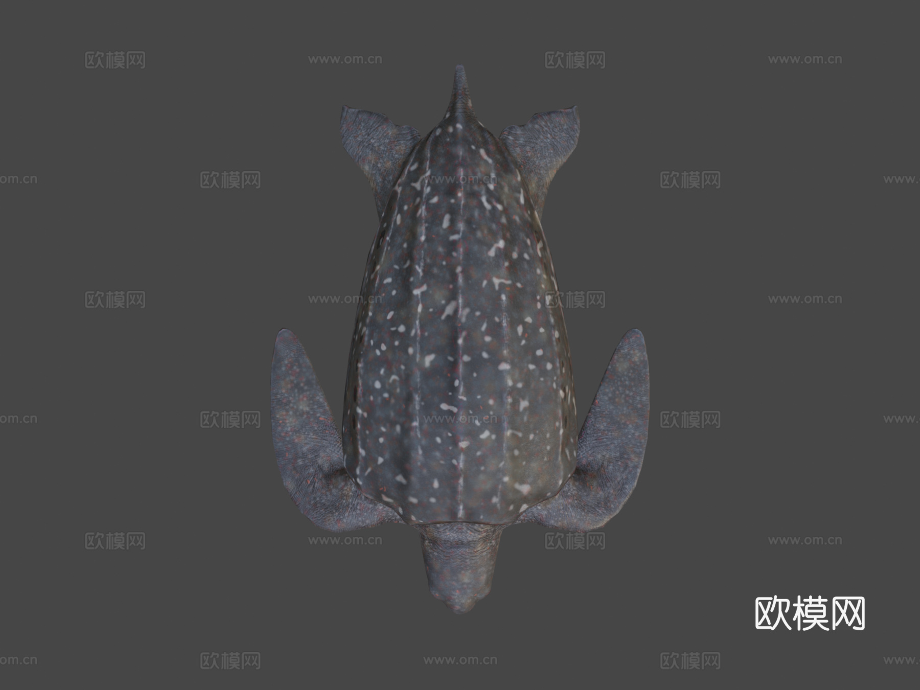 棱皮海龟su模型下载（渲染图7）