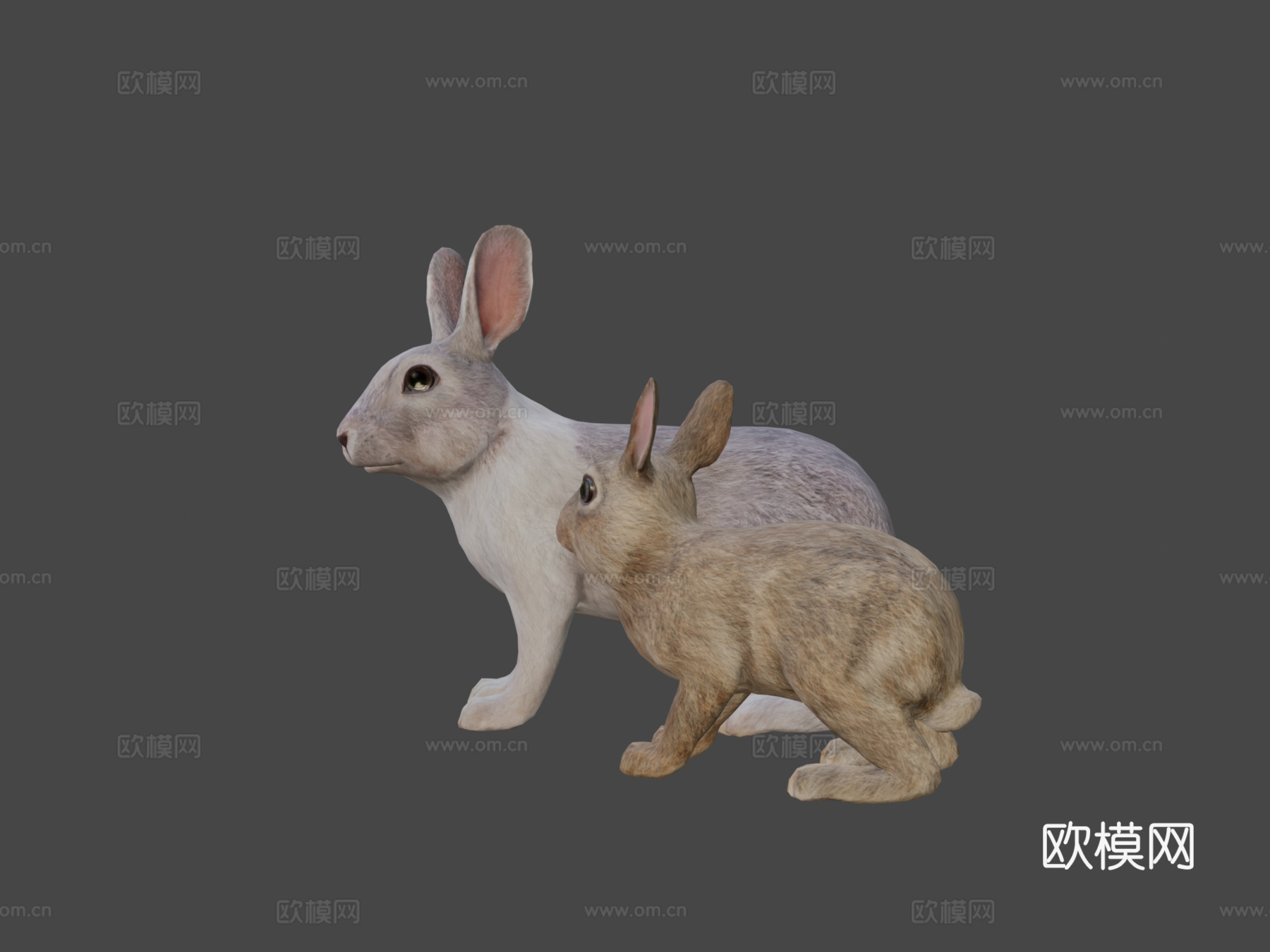 兔子家族su模型