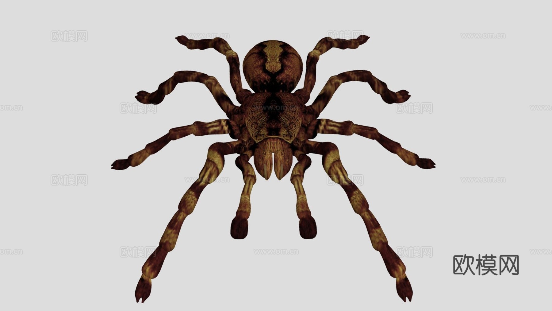 狼蛛su模型下载（渲染图1）
