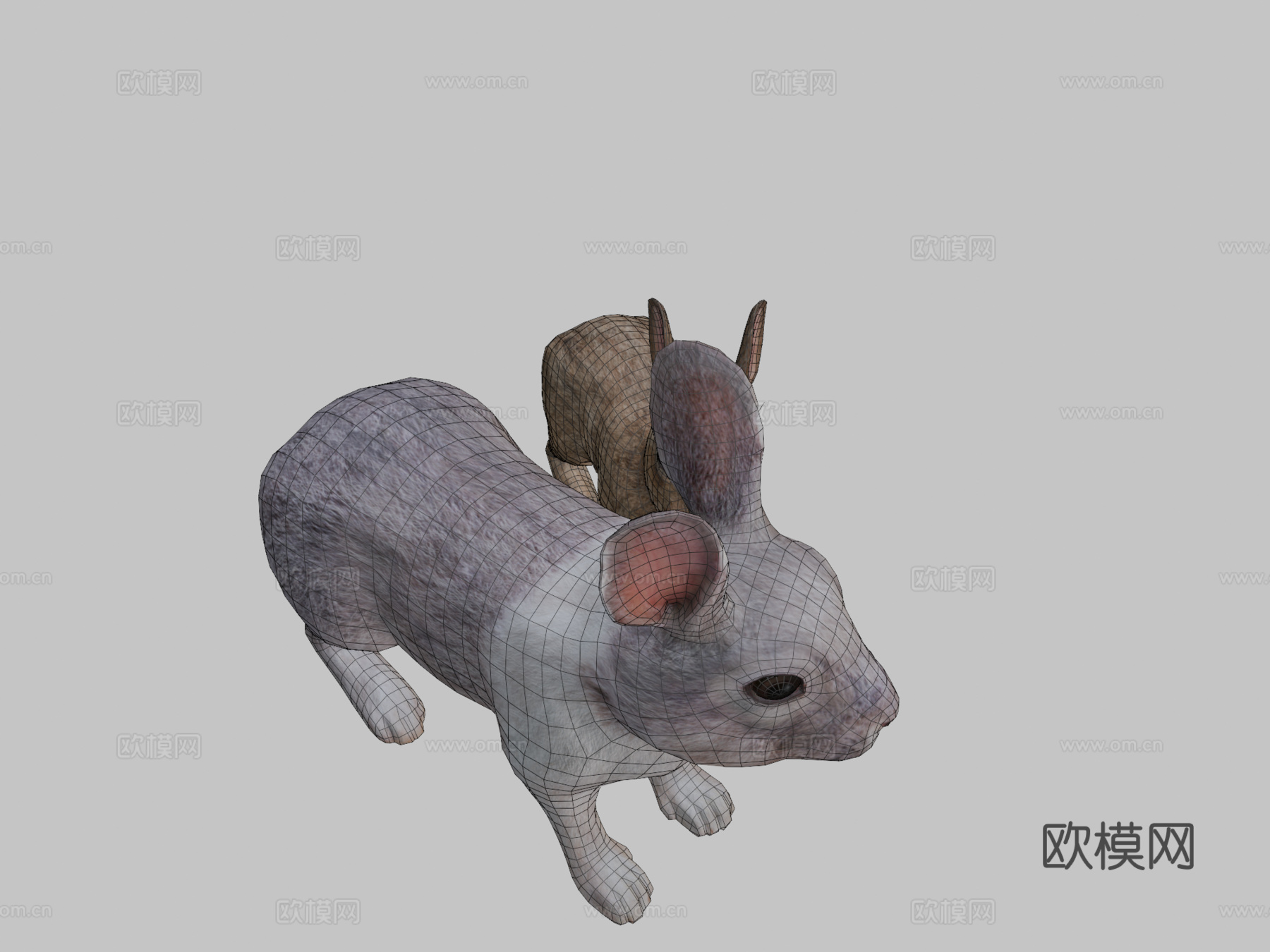 兔子家族su模型