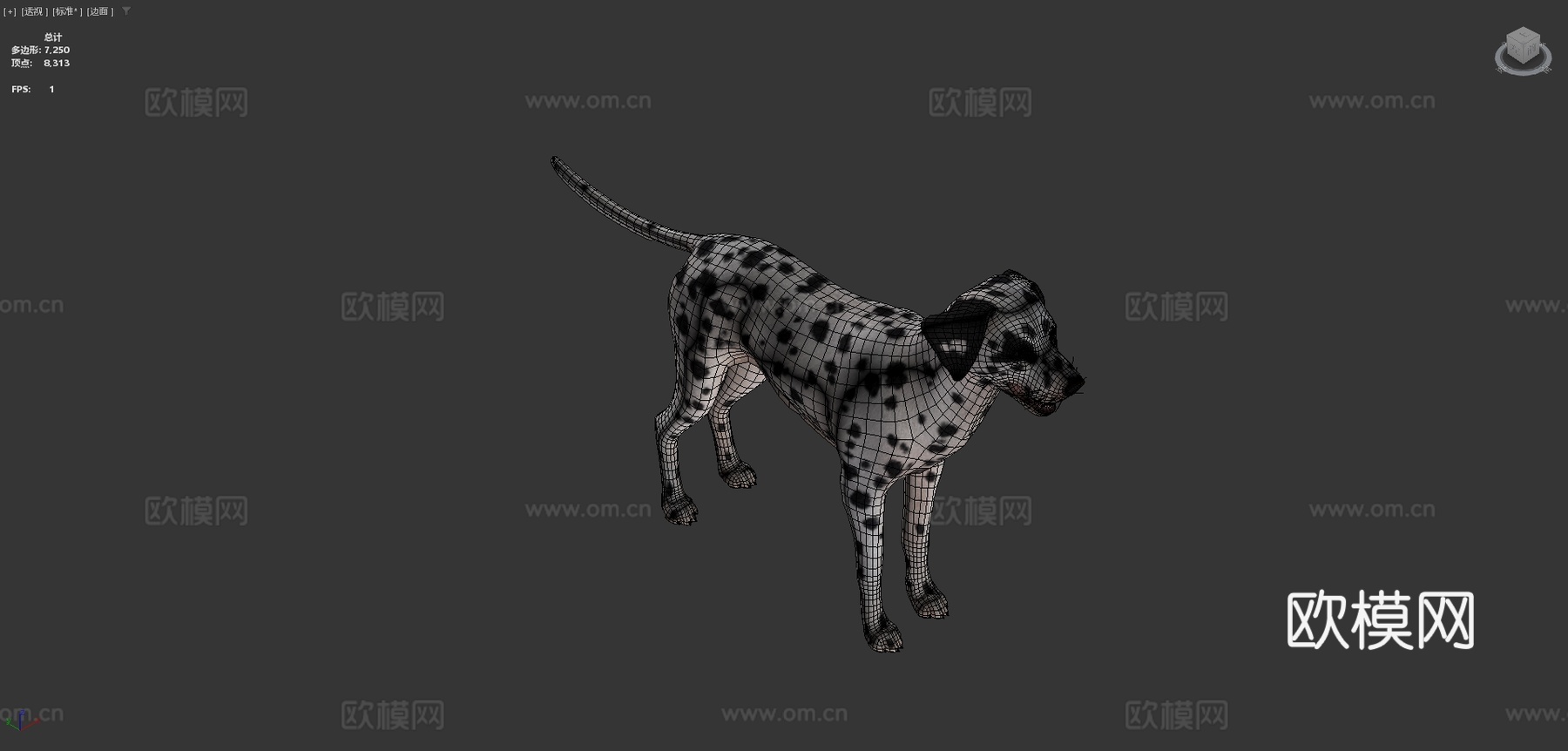 狗斑点狗v2su模型