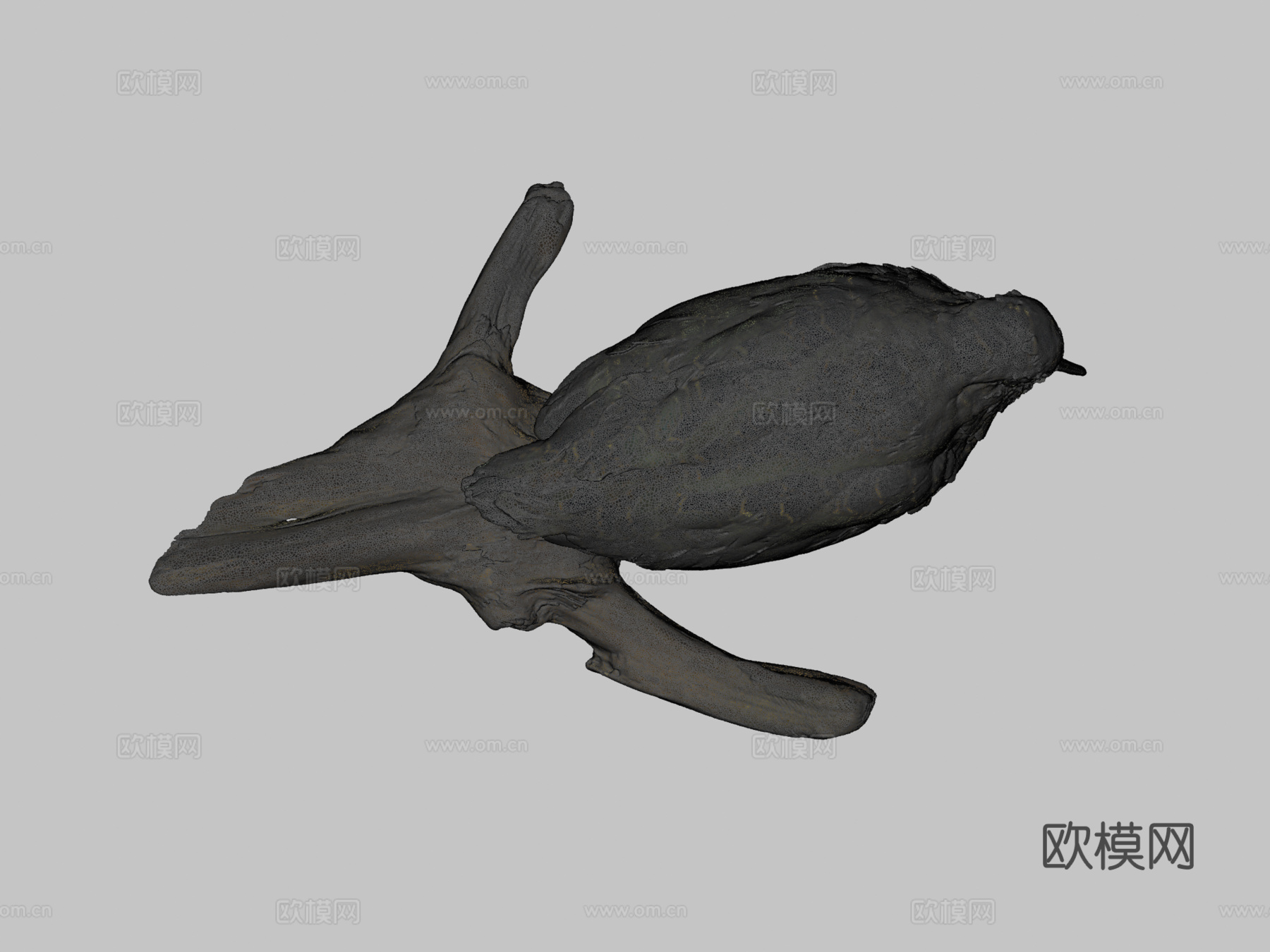 美洲丘鹬su模型下载（渲染图2）