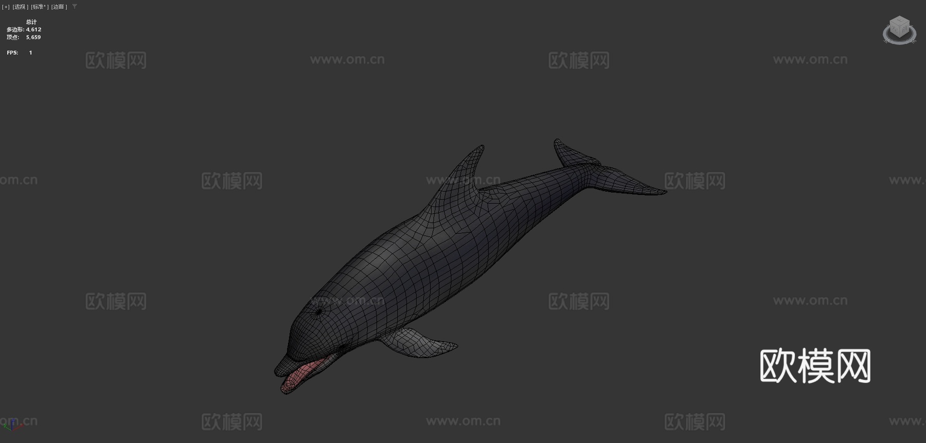 海豚su模型下载（渲染图4）