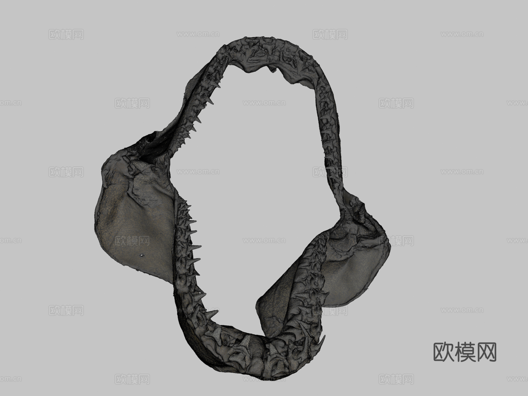鲨鱼牙齿su模型下载（渲染图2）