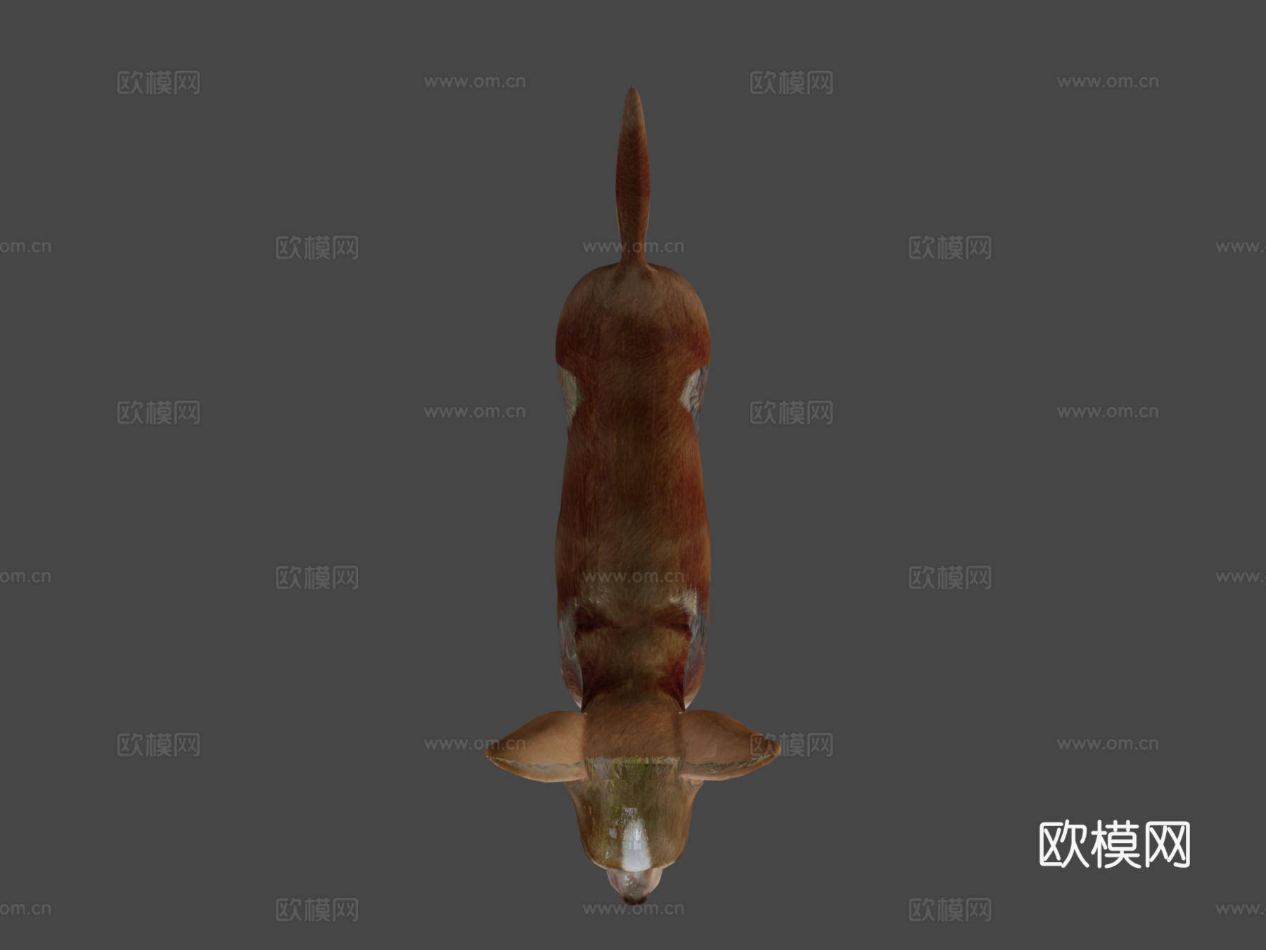 吉娃娃游戏就绪su模型