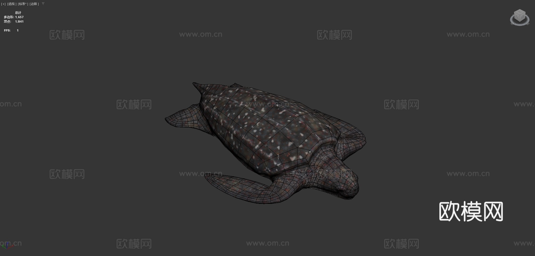 棱皮海龟su模型下载（渲染图4）