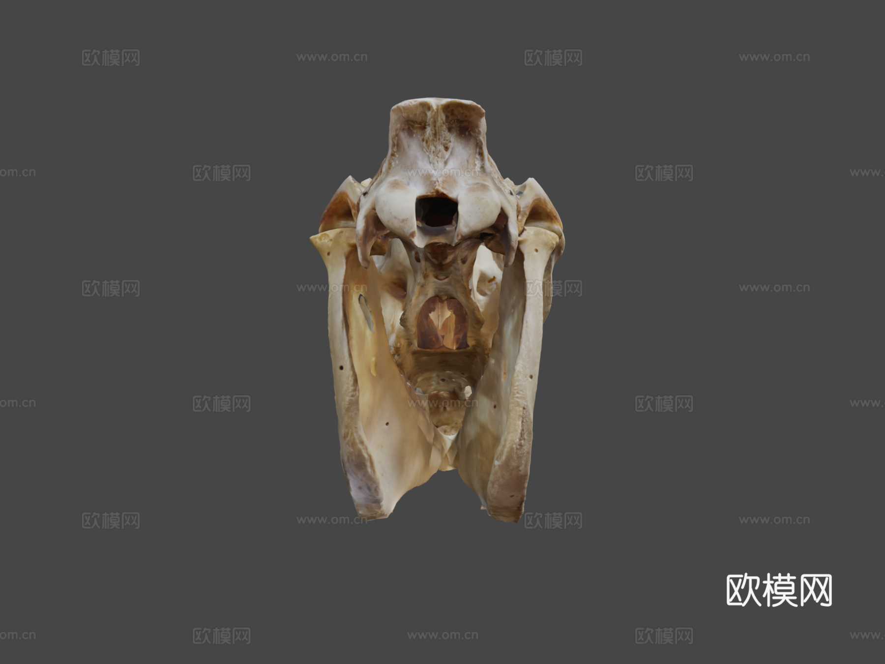 起重机马su模型