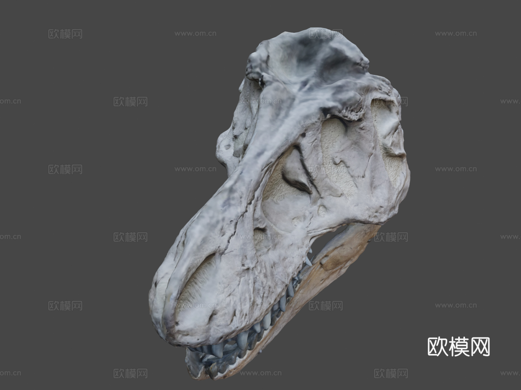 起重机霸王龙su模型