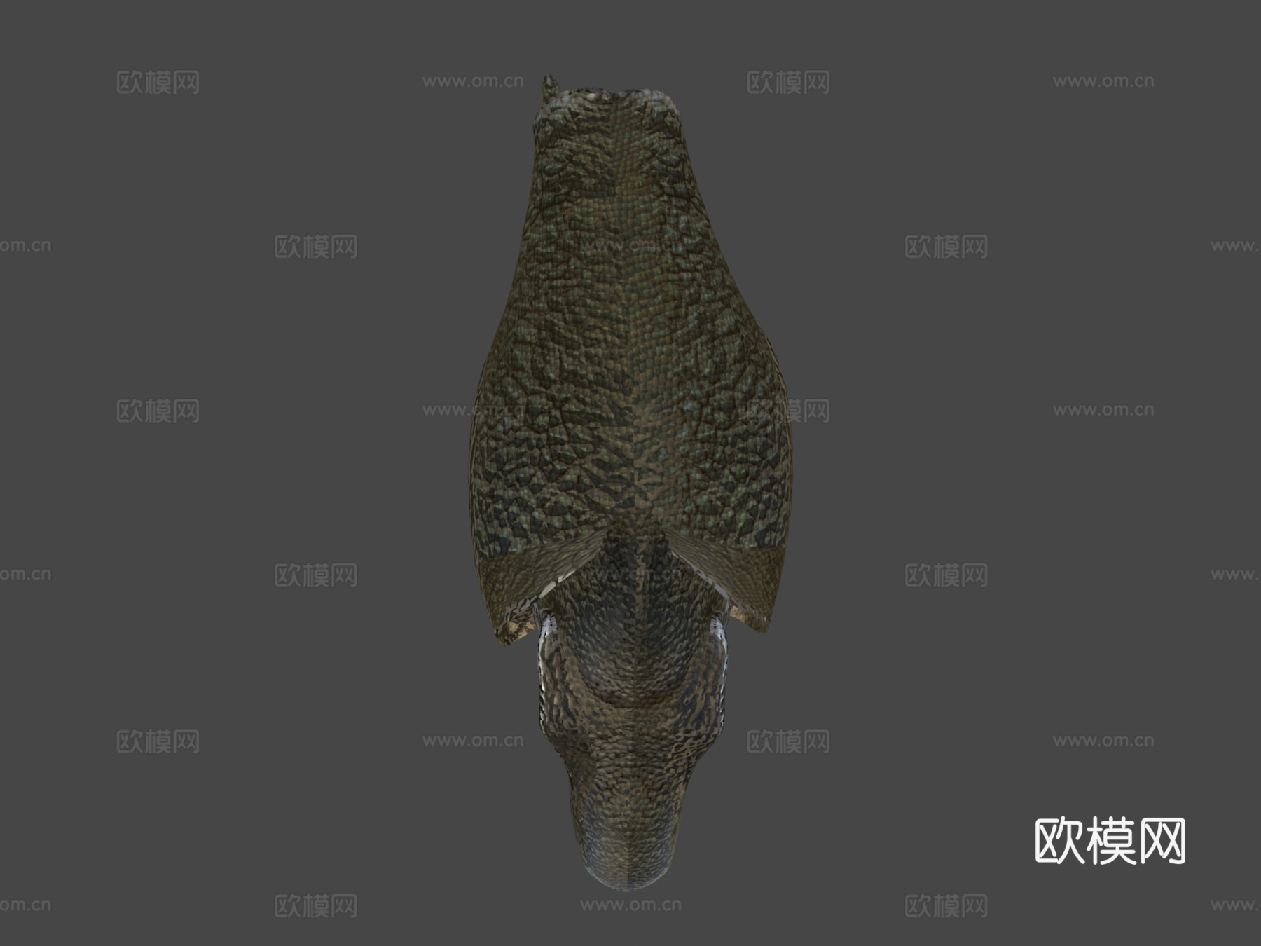 动画霸王龙su模型