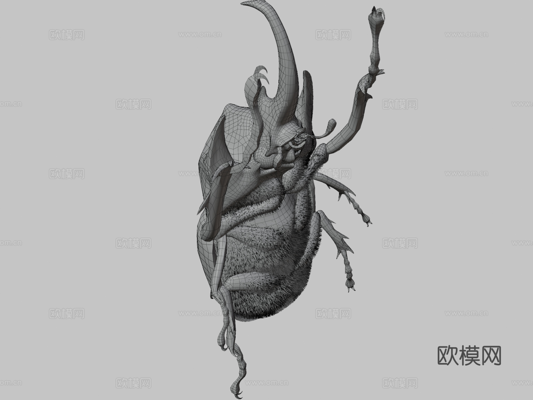 巨犀金龟su模型