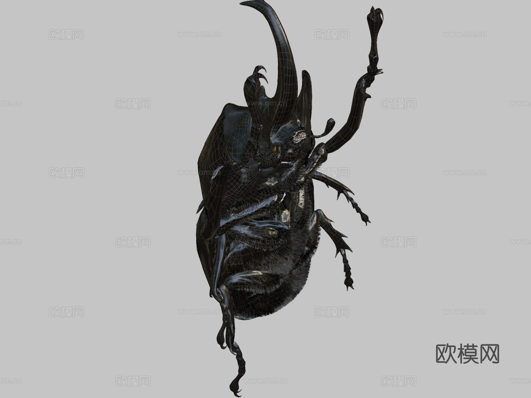 巨犀金龟su模型