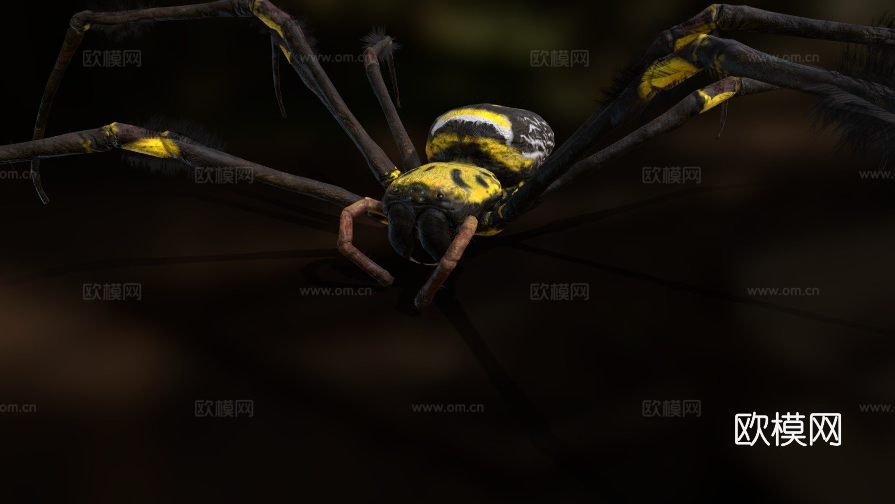 金丝圆蛛su模型下载（渲染图1）