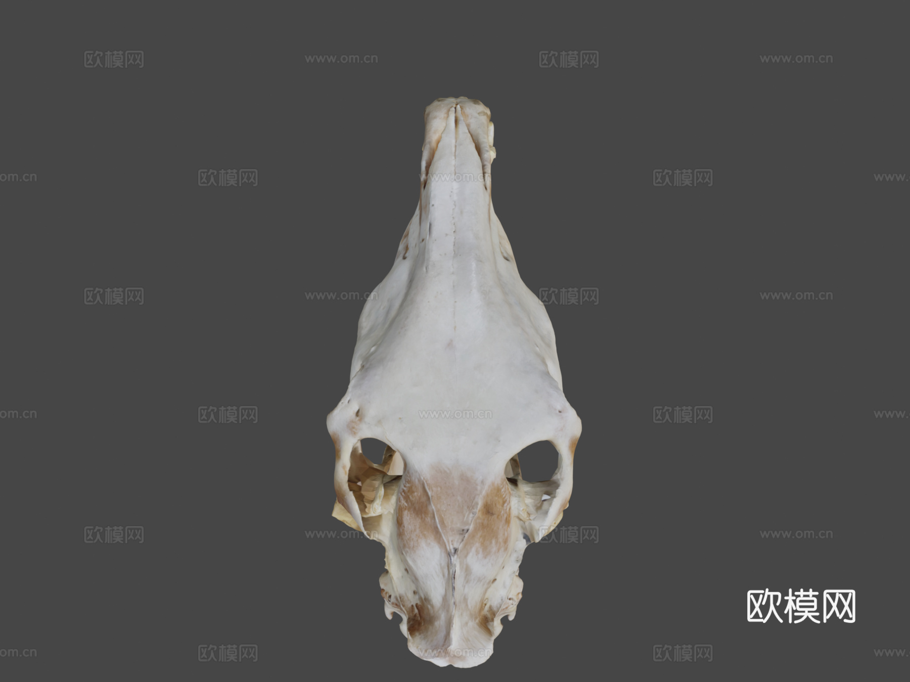 起重机马su模型