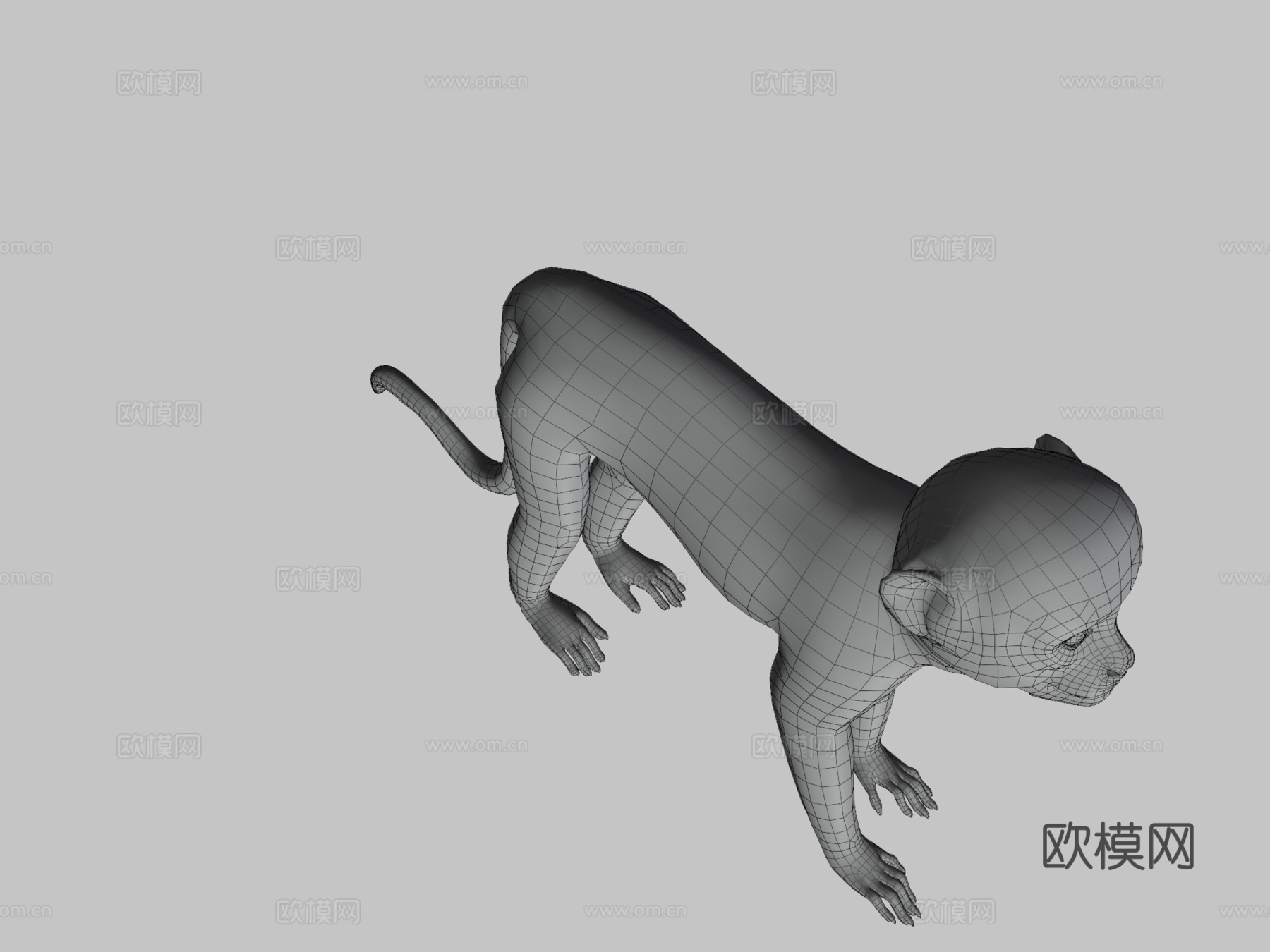 松鼠猴游戏就绪su模型