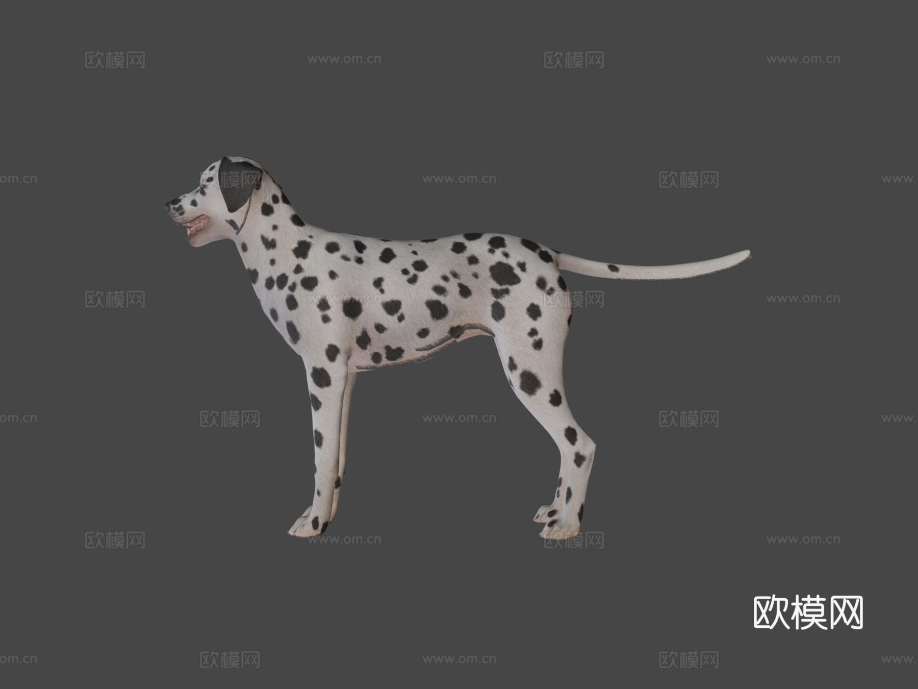 狗斑点狗v2su模型