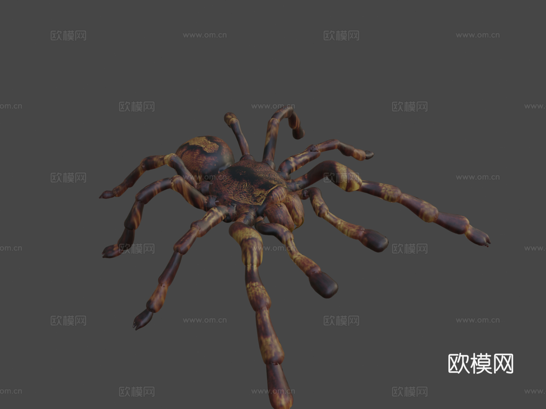 狼蛛su模型下载（渲染图7）