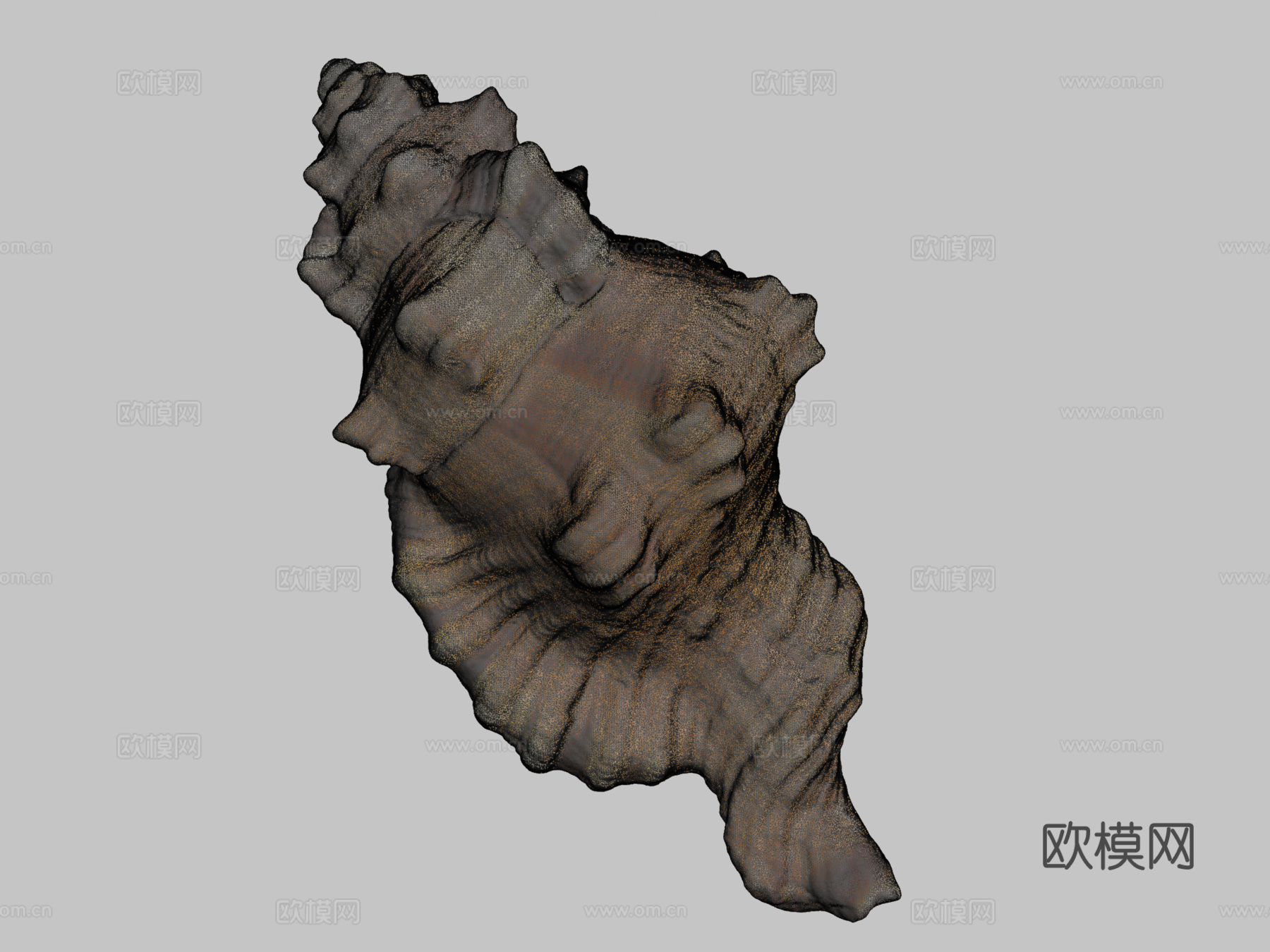 黑斑法螺壳su模型下载（渲染图2）