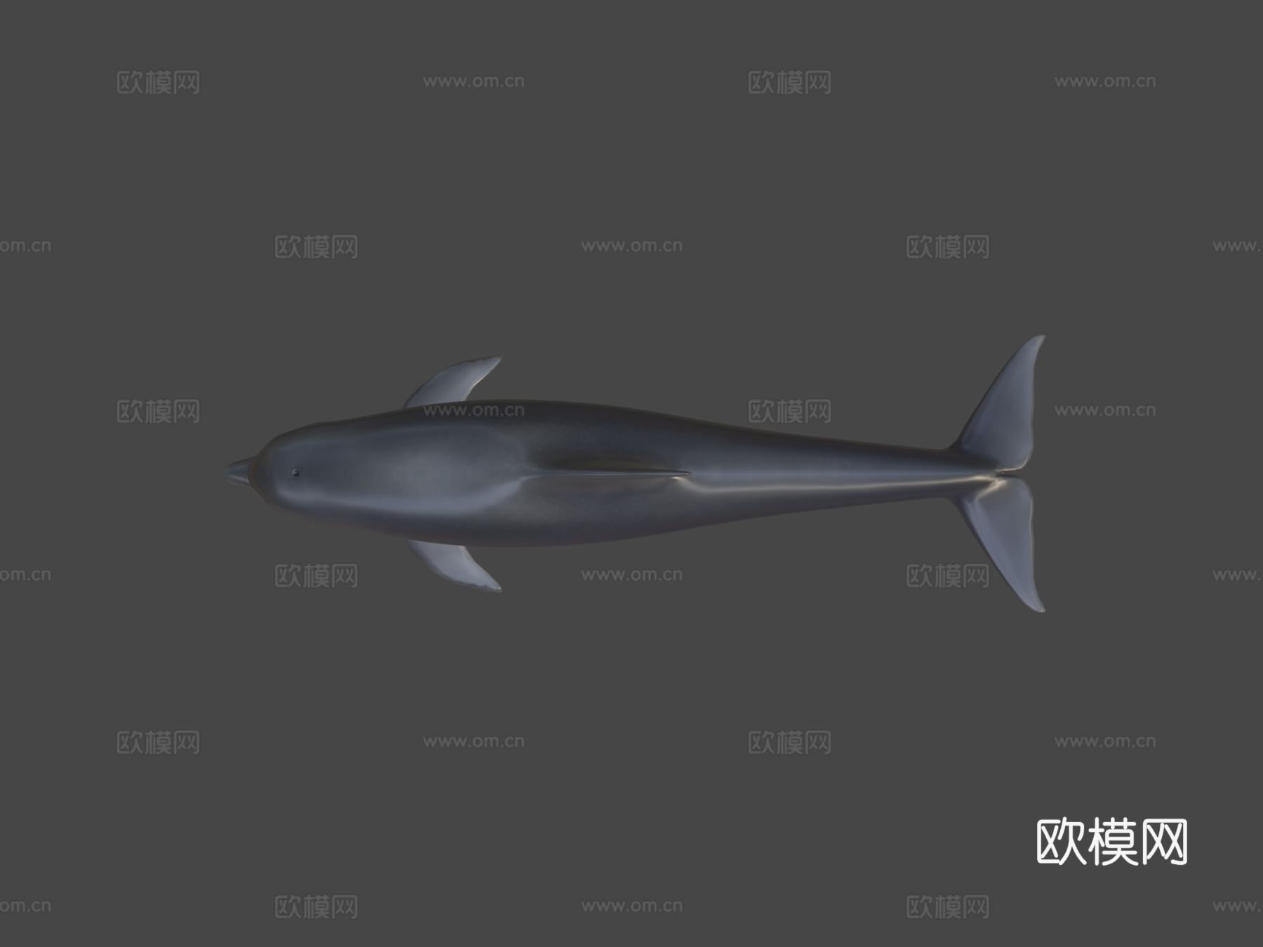 海豚su模型下载（渲染图6）