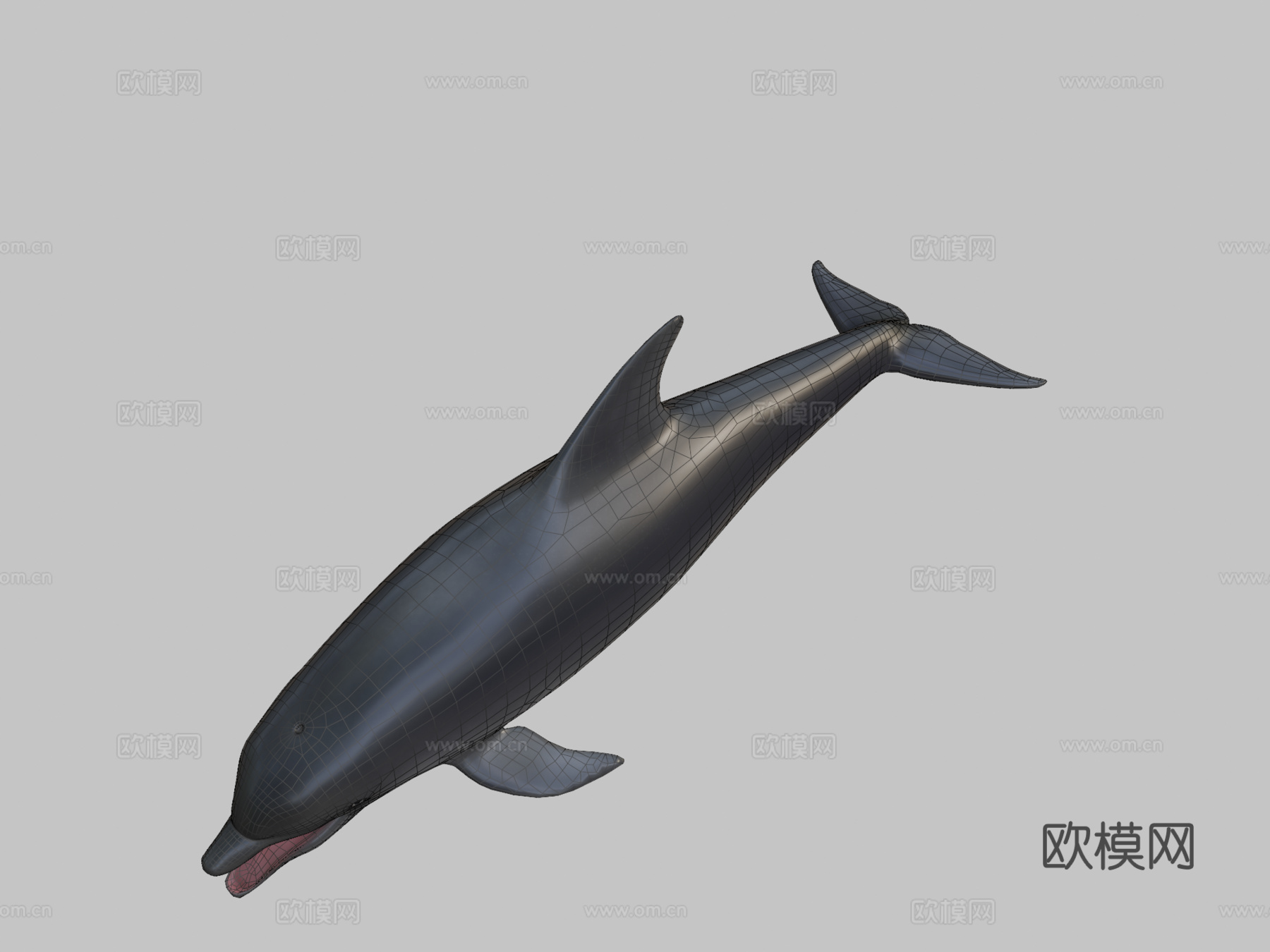 海豚su模型下载（渲染图2）
