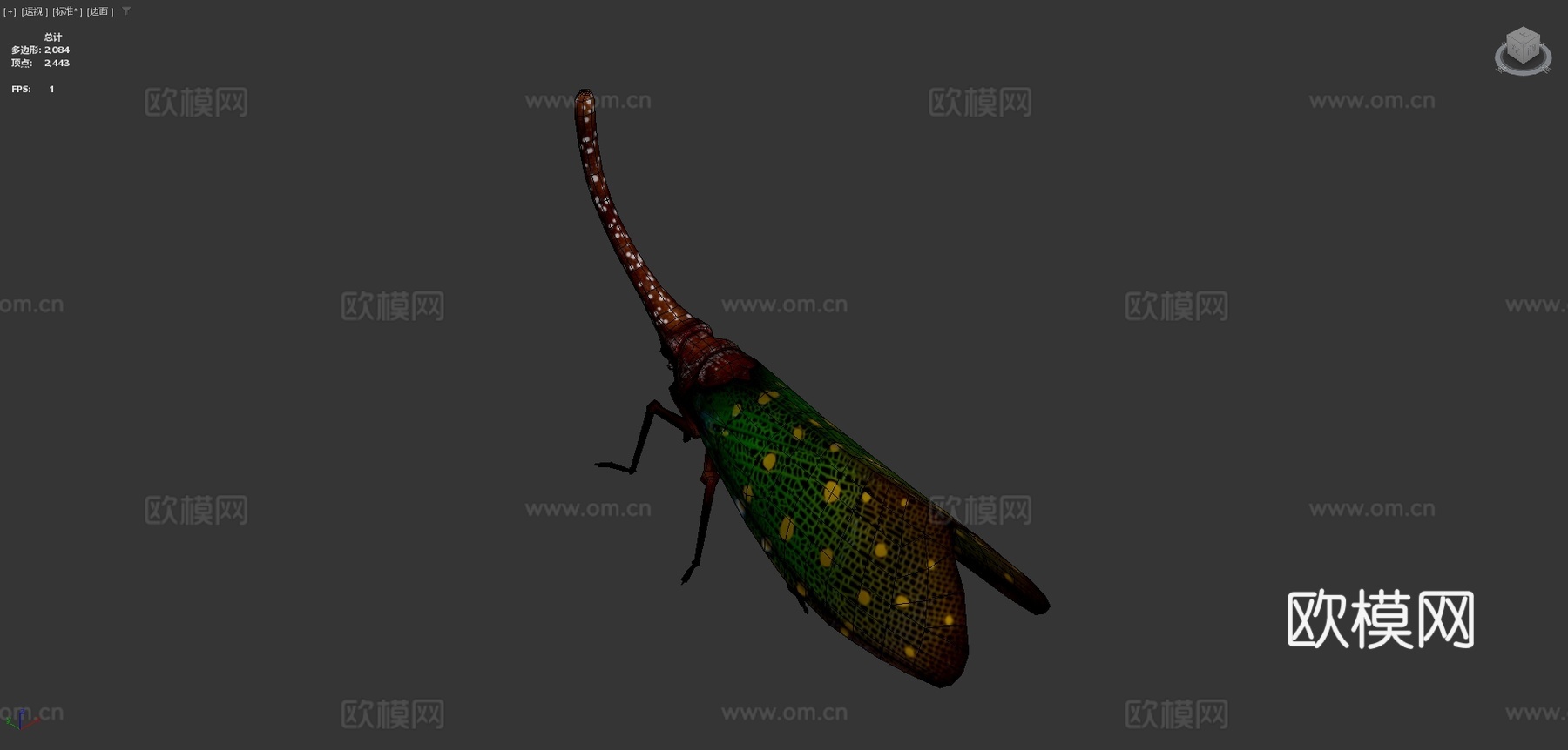 灯笼低多边形su模型