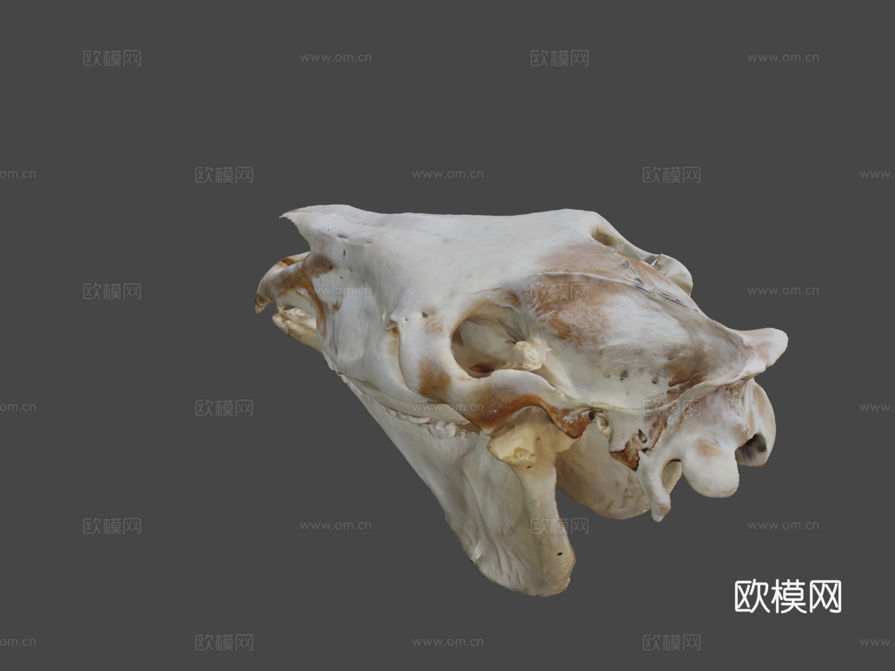 起重机马su模型