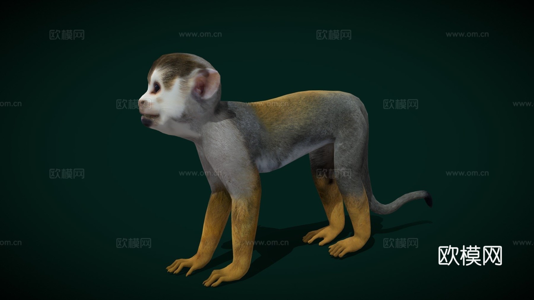 松鼠猴游戏就绪su模型