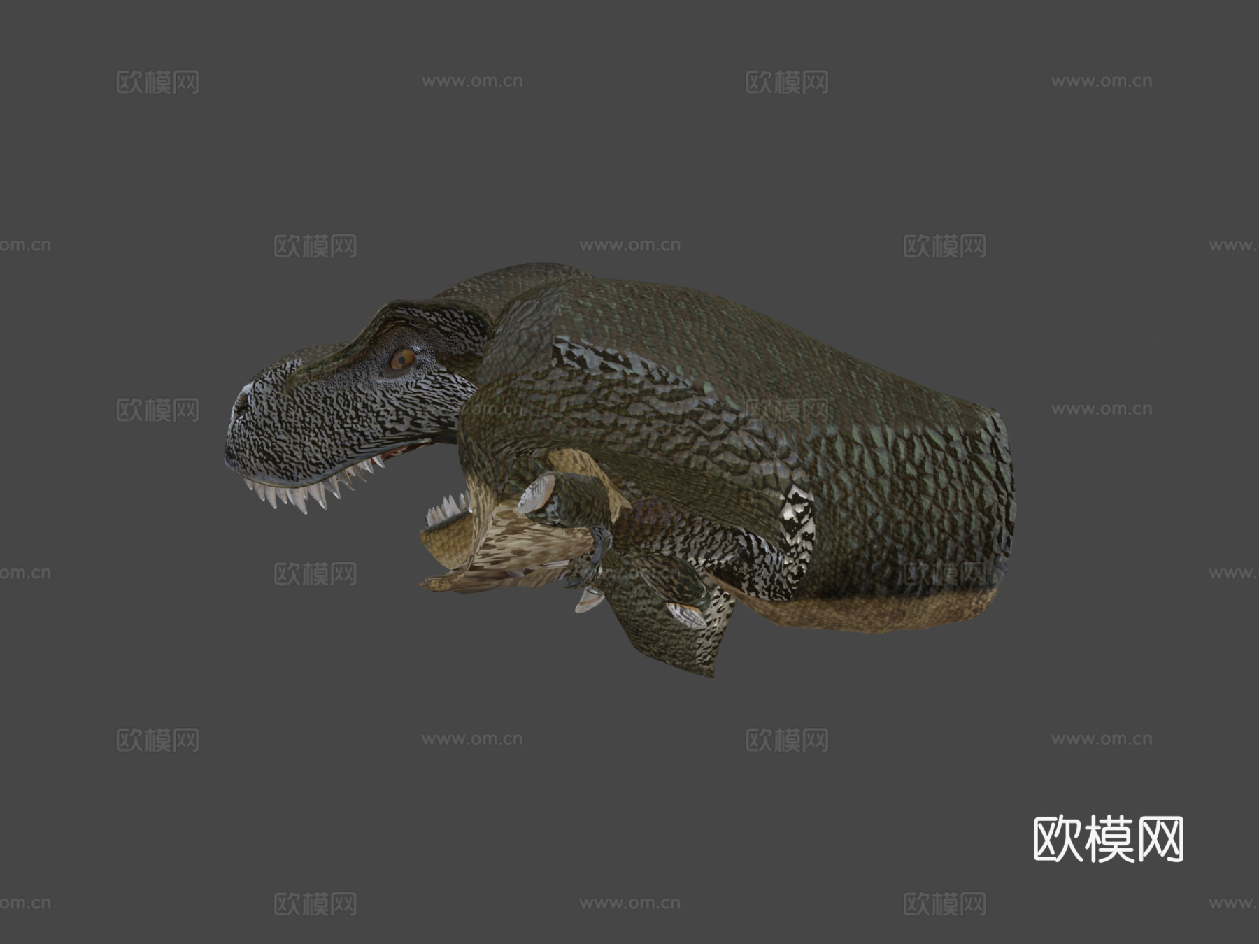 动画霸王龙su模型