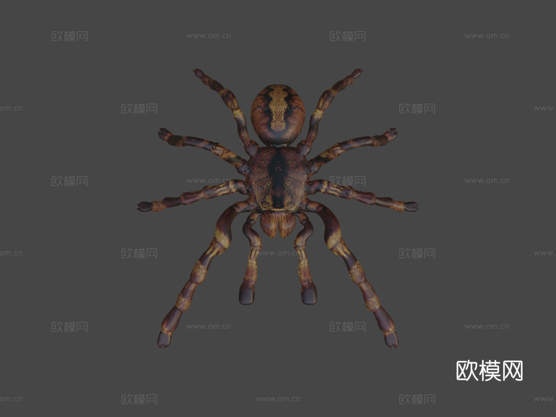 狼蛛su模型下载（渲染图8）
