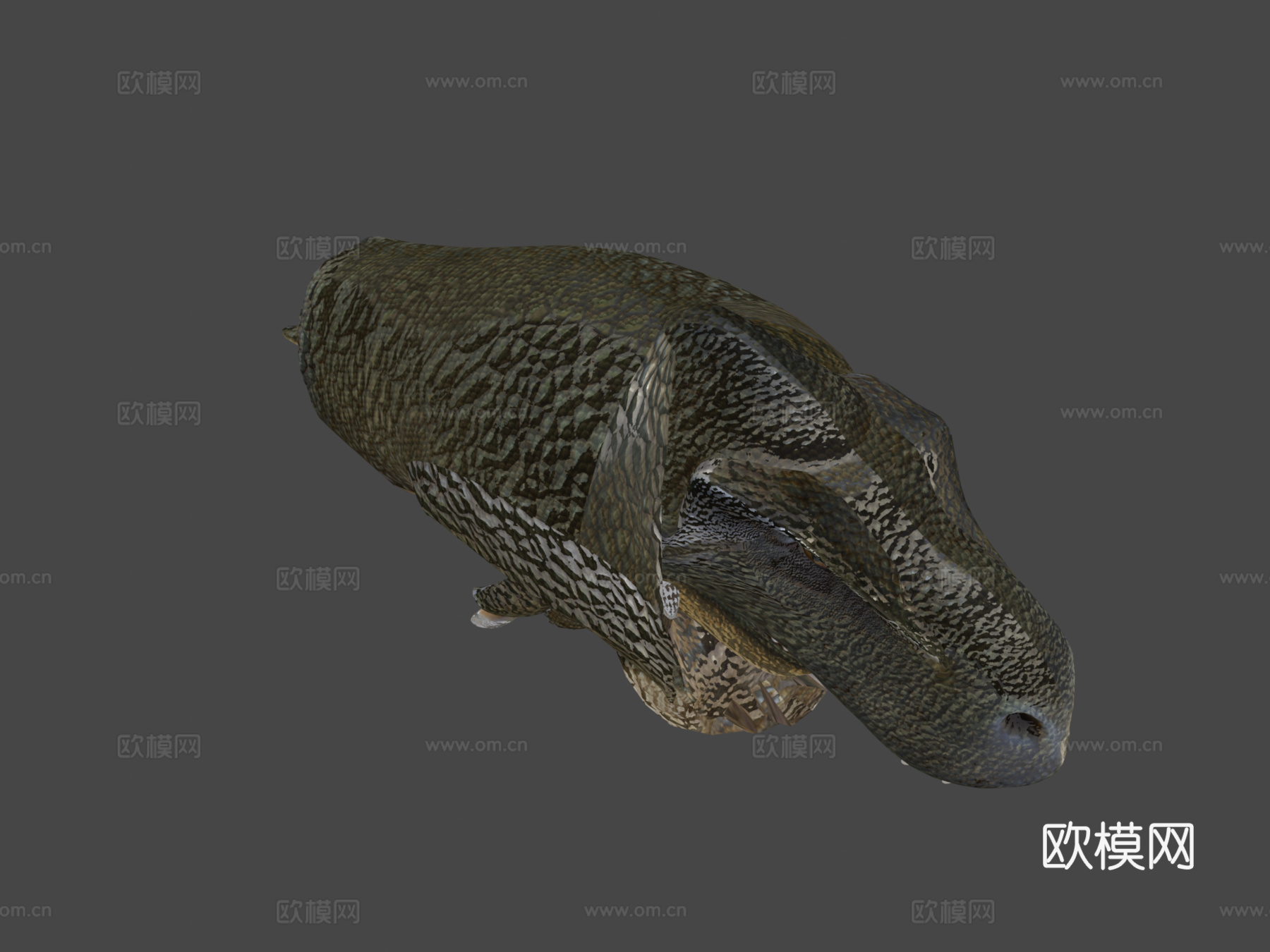 动画霸王龙su模型