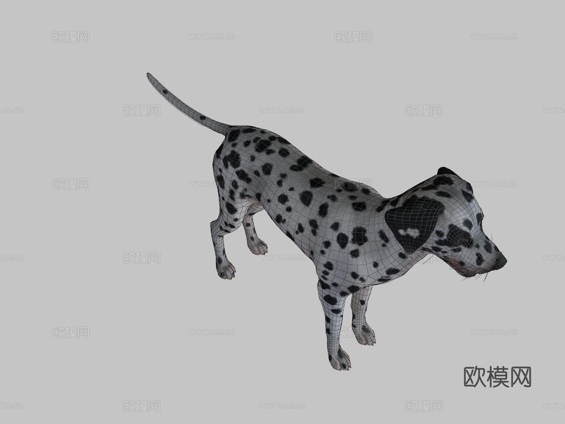 狗斑点狗v2su模型