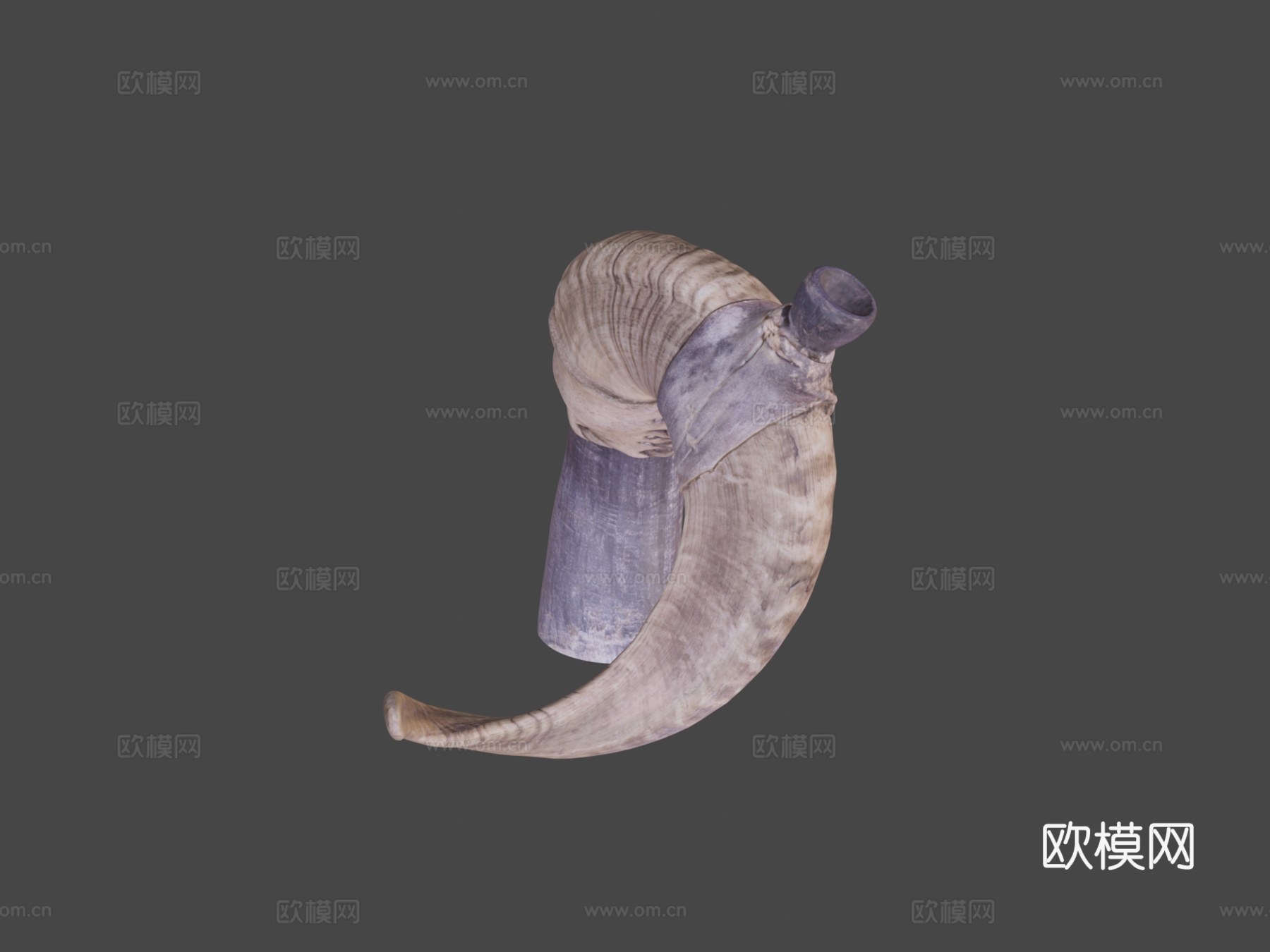 仪式性HUAQRAPUTUTO 17ksu模型下载（渲染图6）