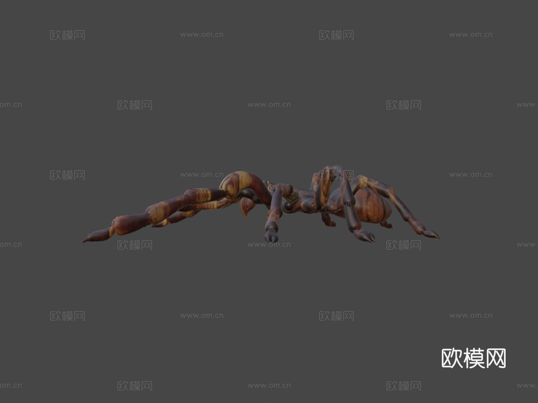 狼蛛su模型下载（渲染图5）