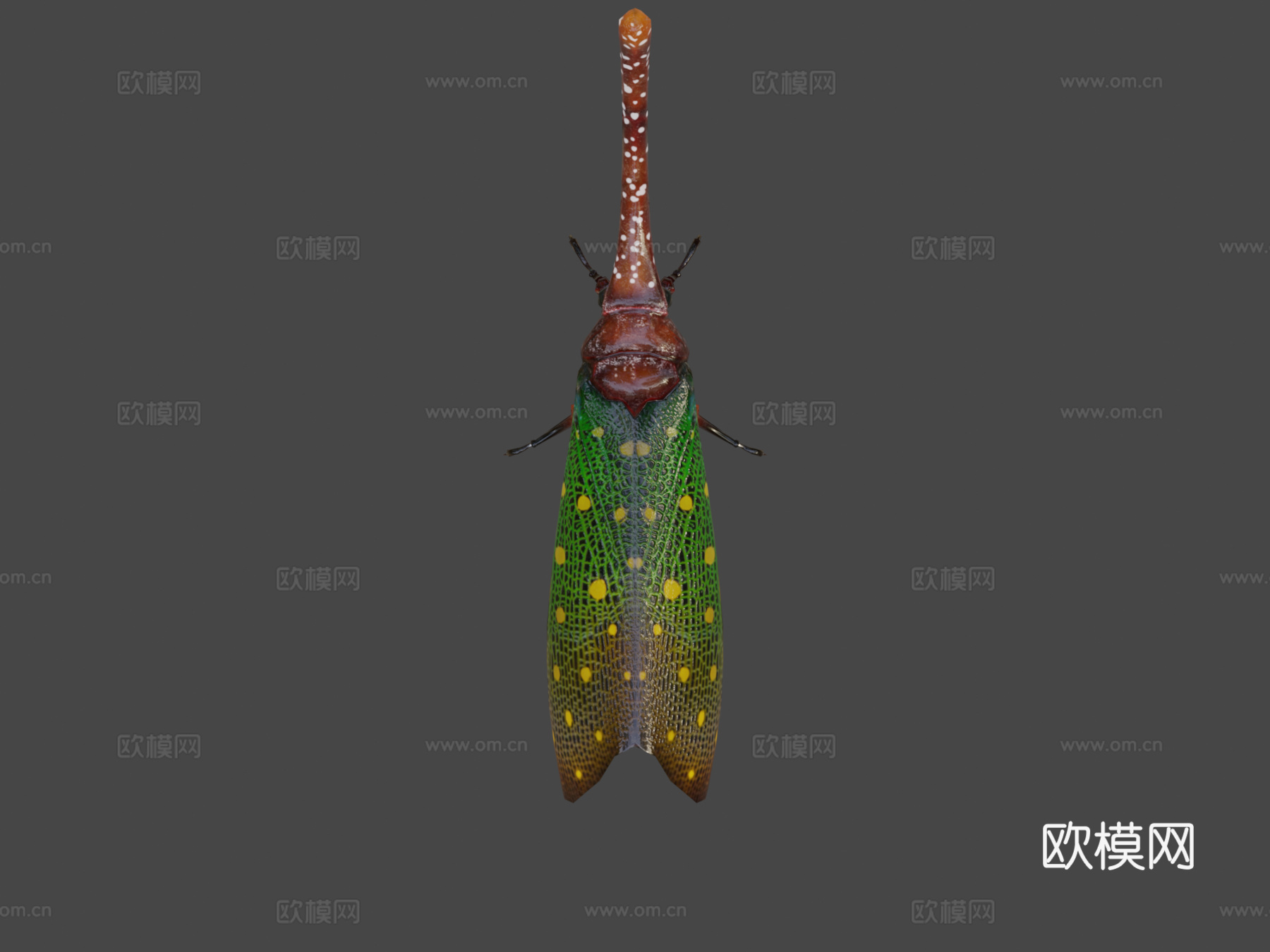 灯笼低多边形su模型