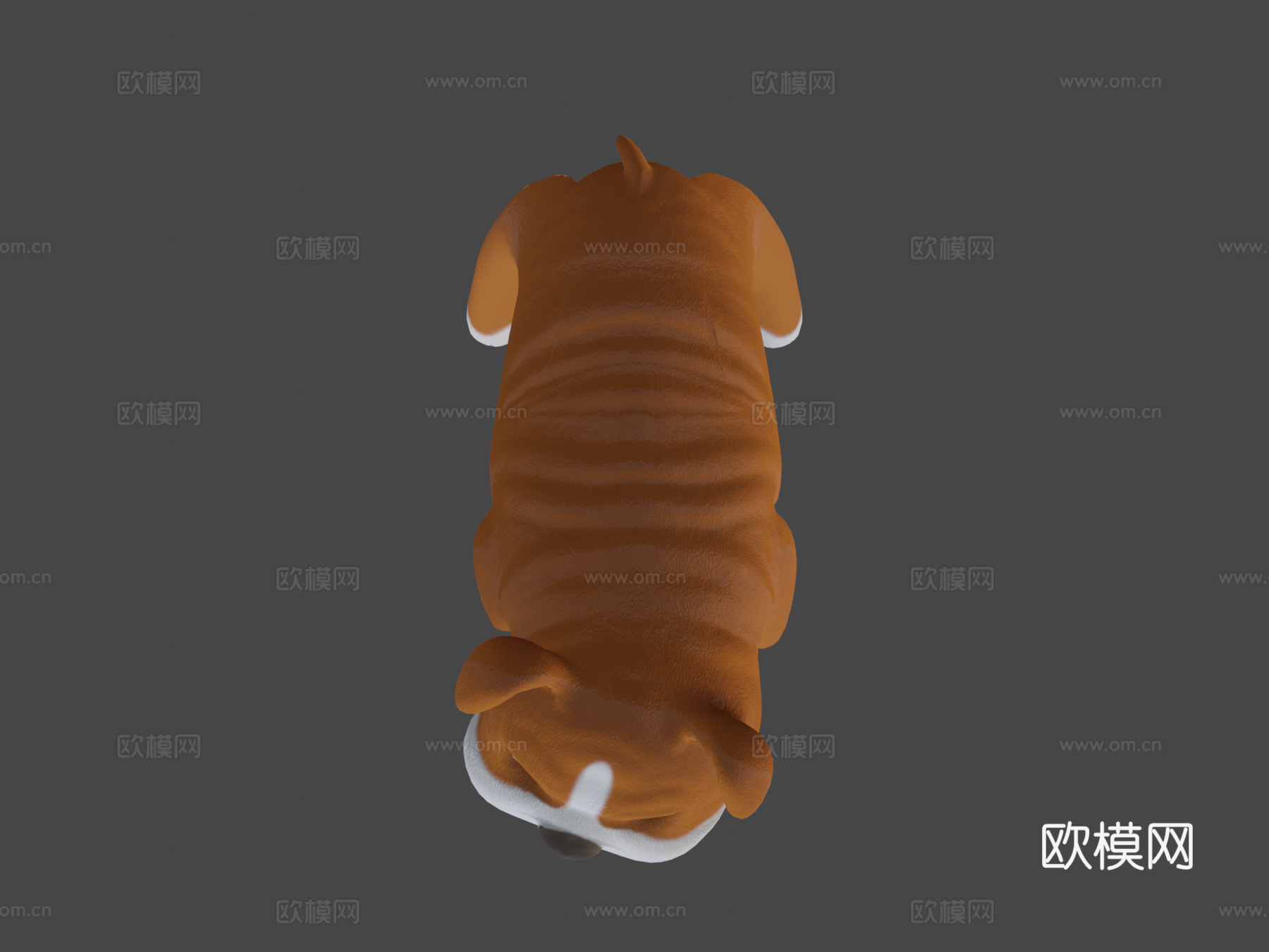 斗牛犬卡通su模型下载（渲染图7）