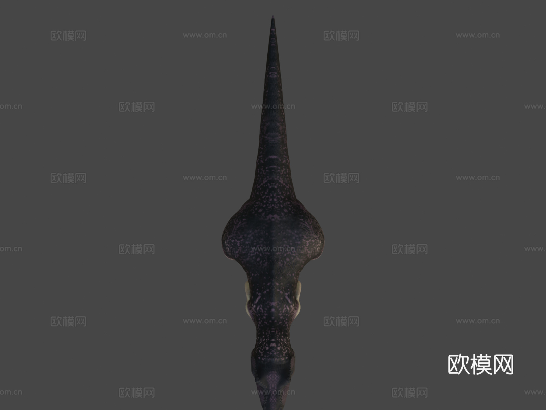 羽毛霸王龙su模型su模型