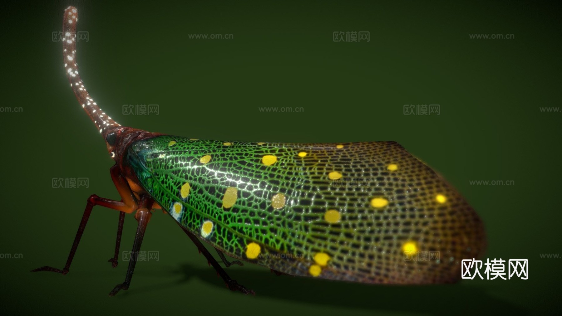 灯笼低多边形su模型