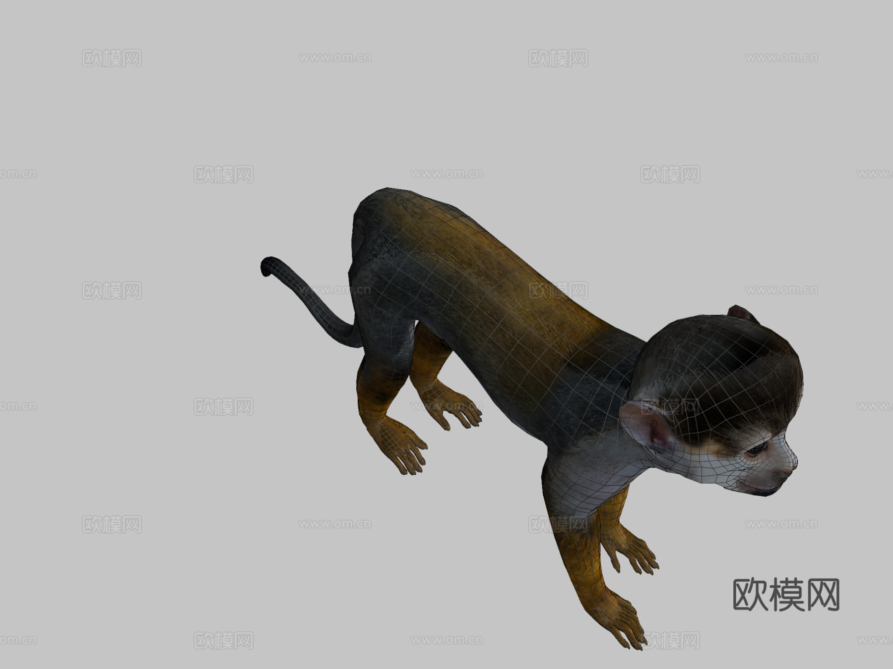 松鼠猴游戏就绪su模型