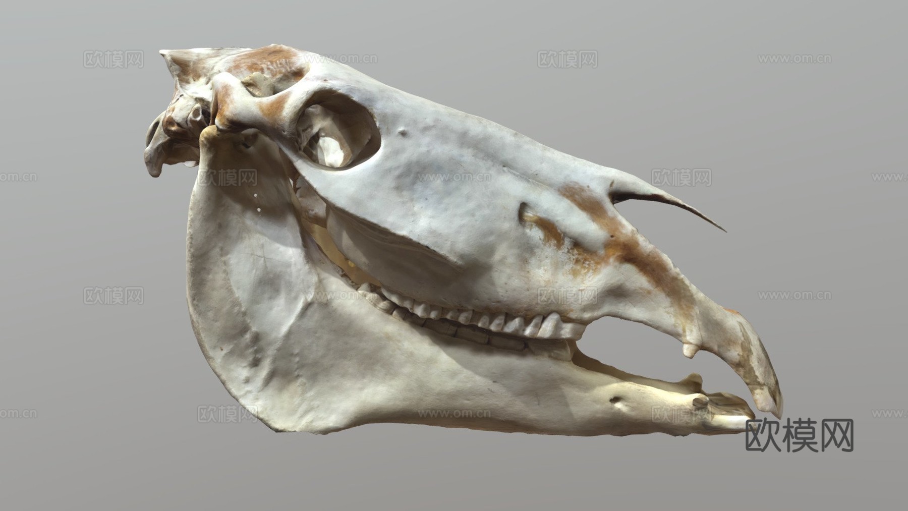 起重机马su模型