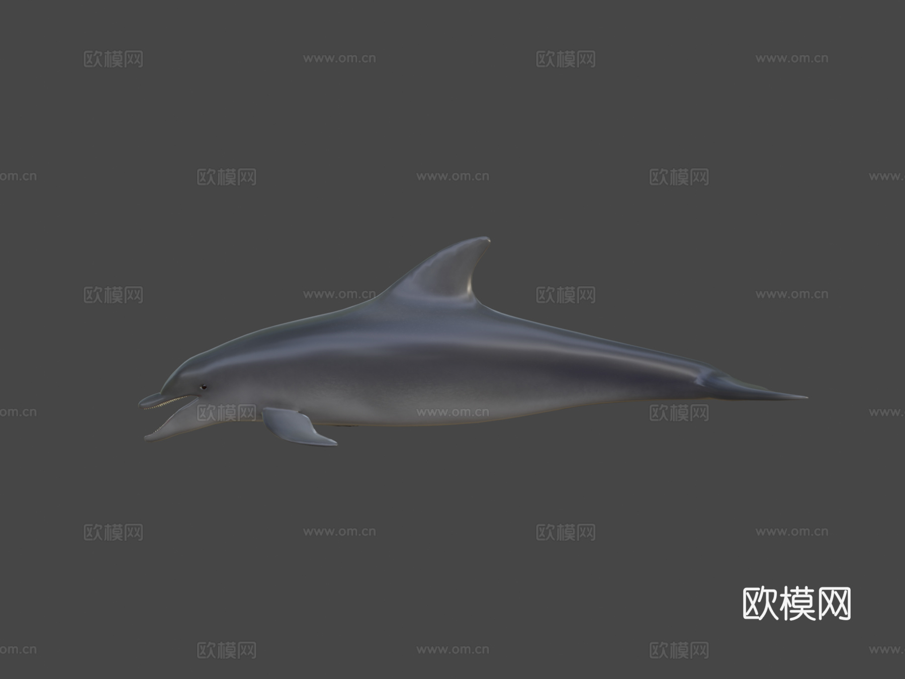 海豚su模型下载（渲染图5）
