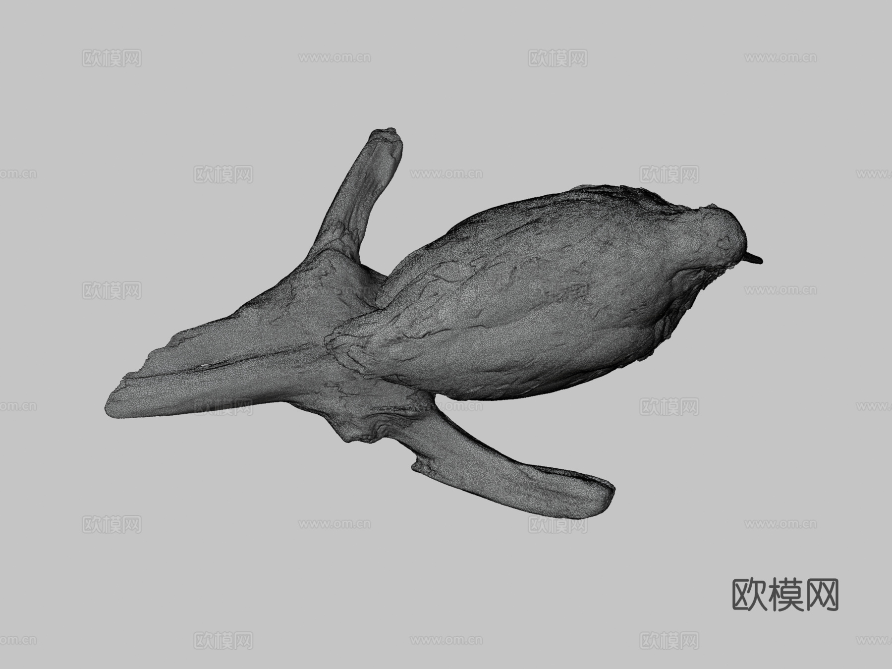 美洲丘鹬su模型下载（渲染图3）