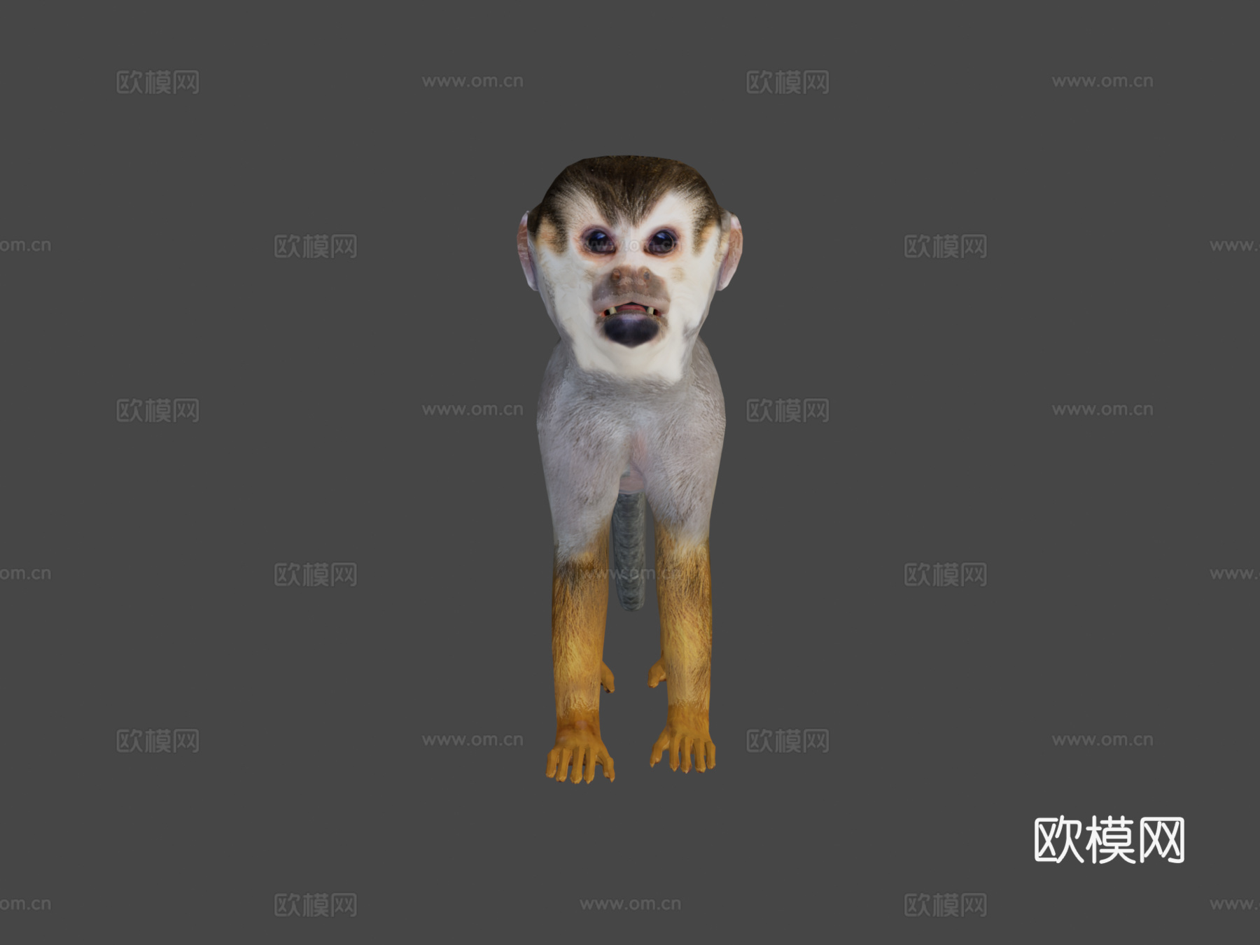 松鼠猴游戏就绪su模型