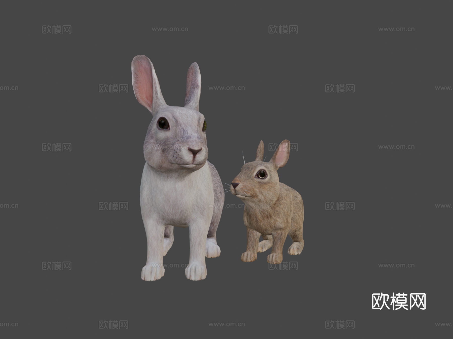 兔子家族su模型