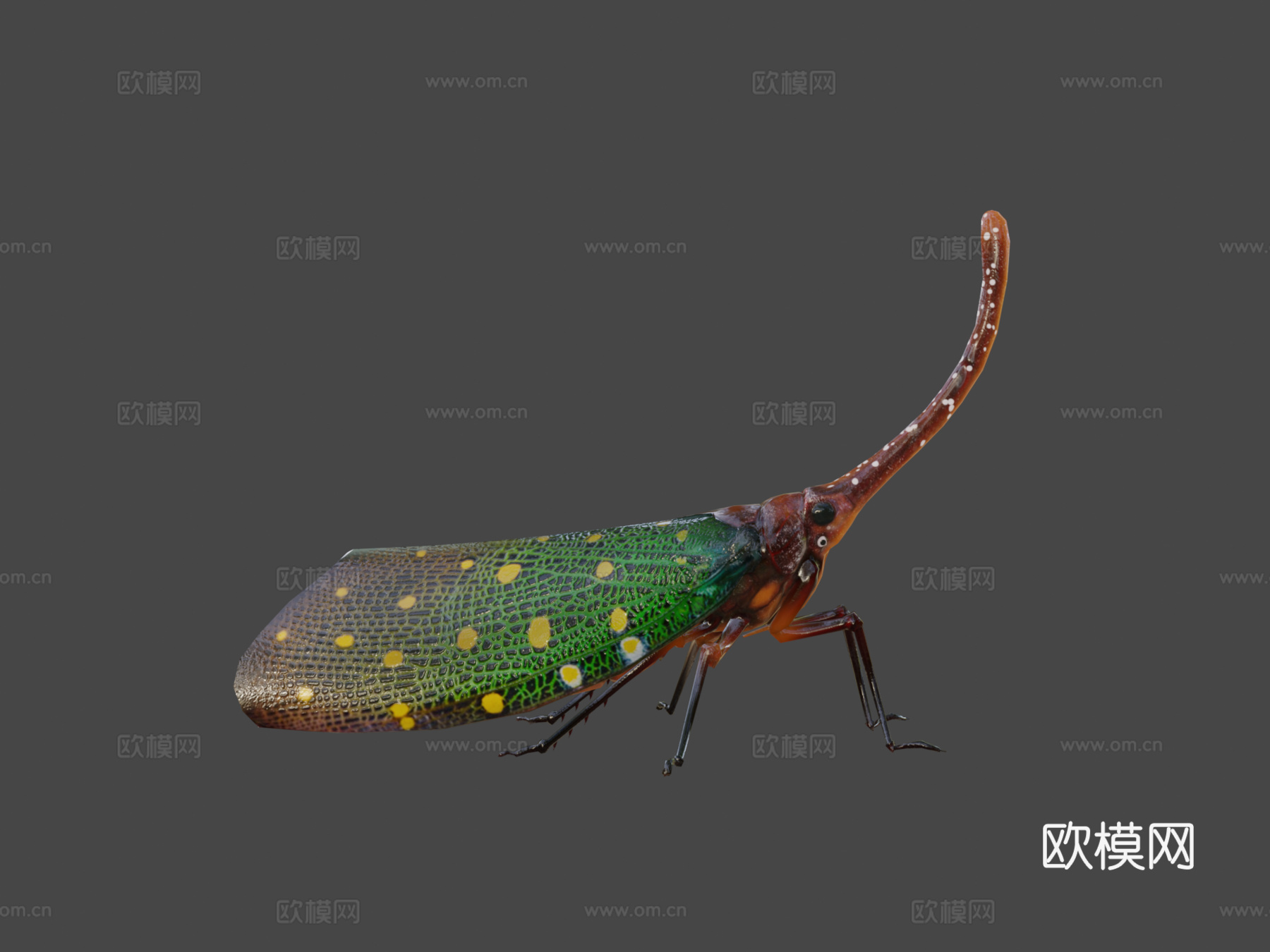 灯笼低多边形su模型