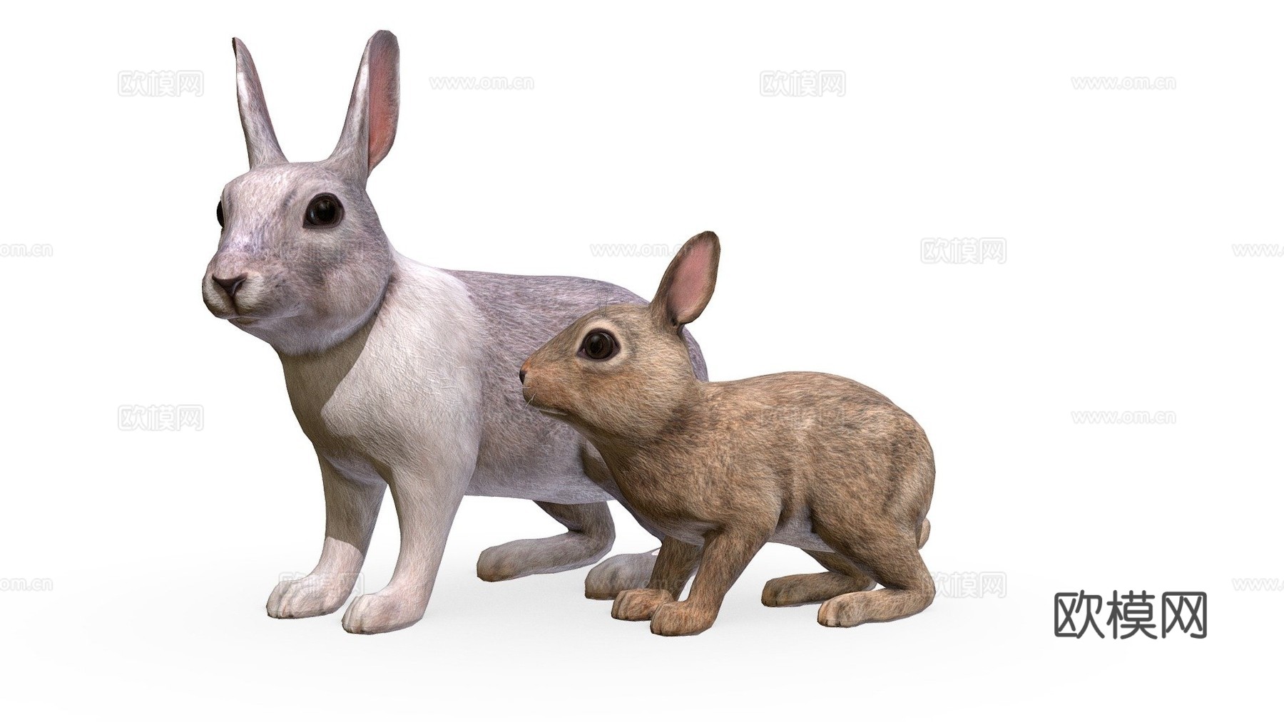 兔子家族su模型