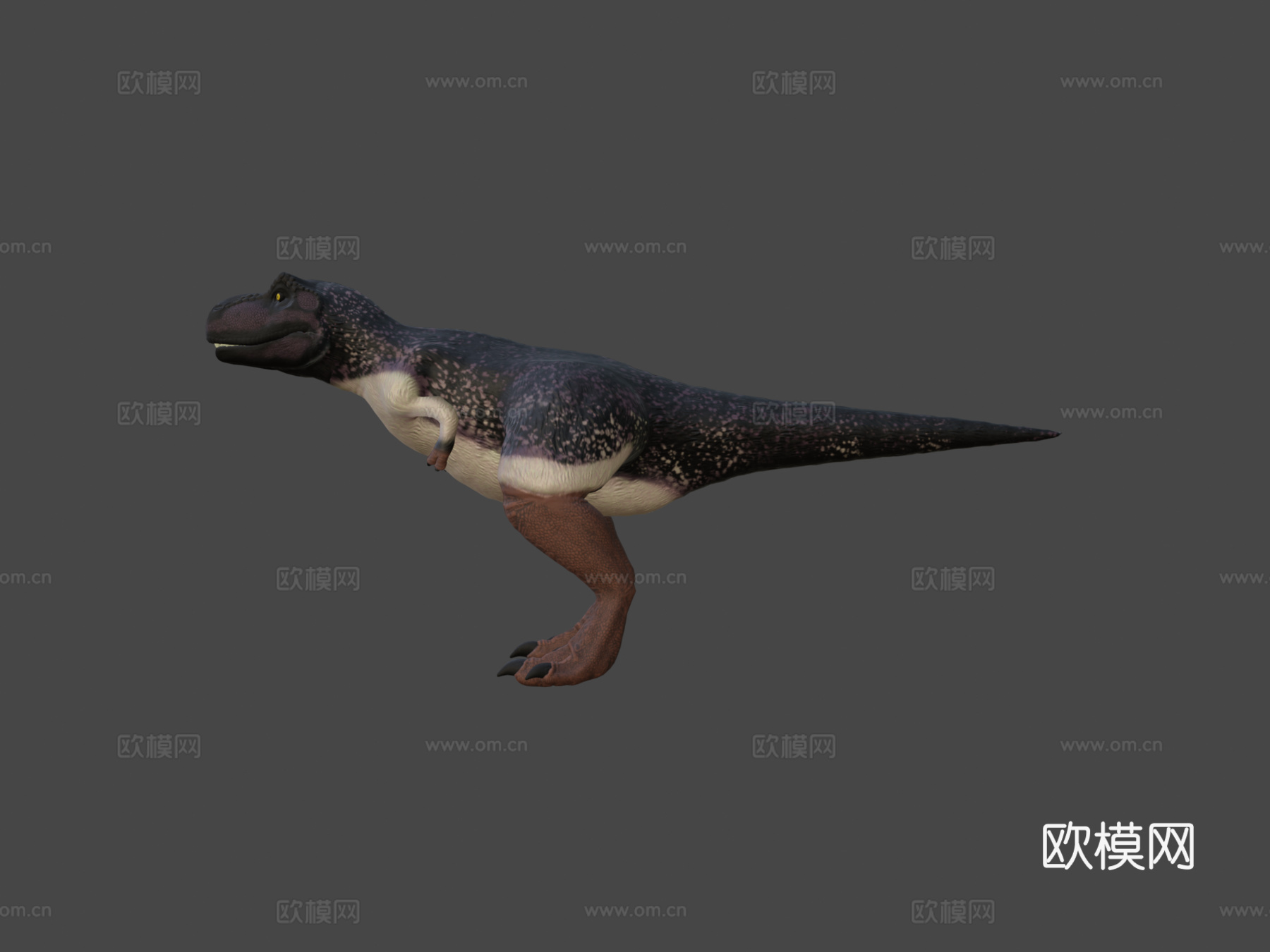 羽毛霸王龙su模型su模型