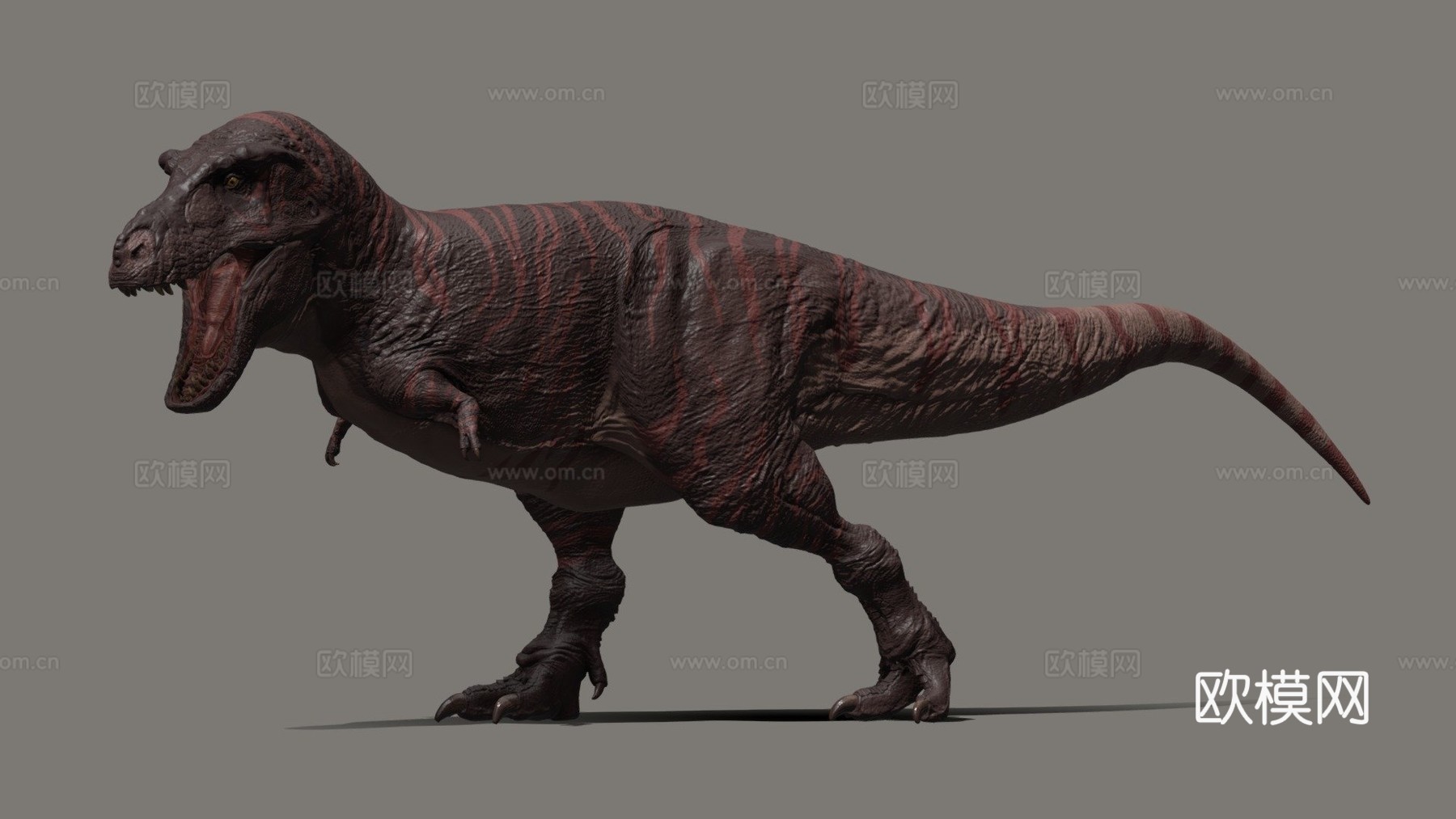 霸王龙DINOATTO版Vitaminimaginationsu模型