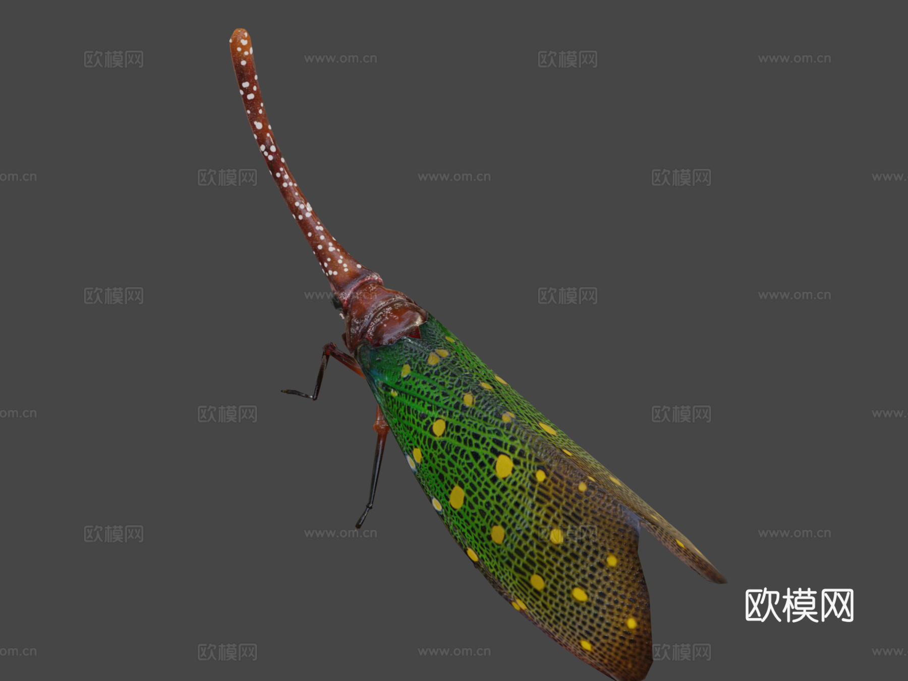 灯笼低多边形su模型