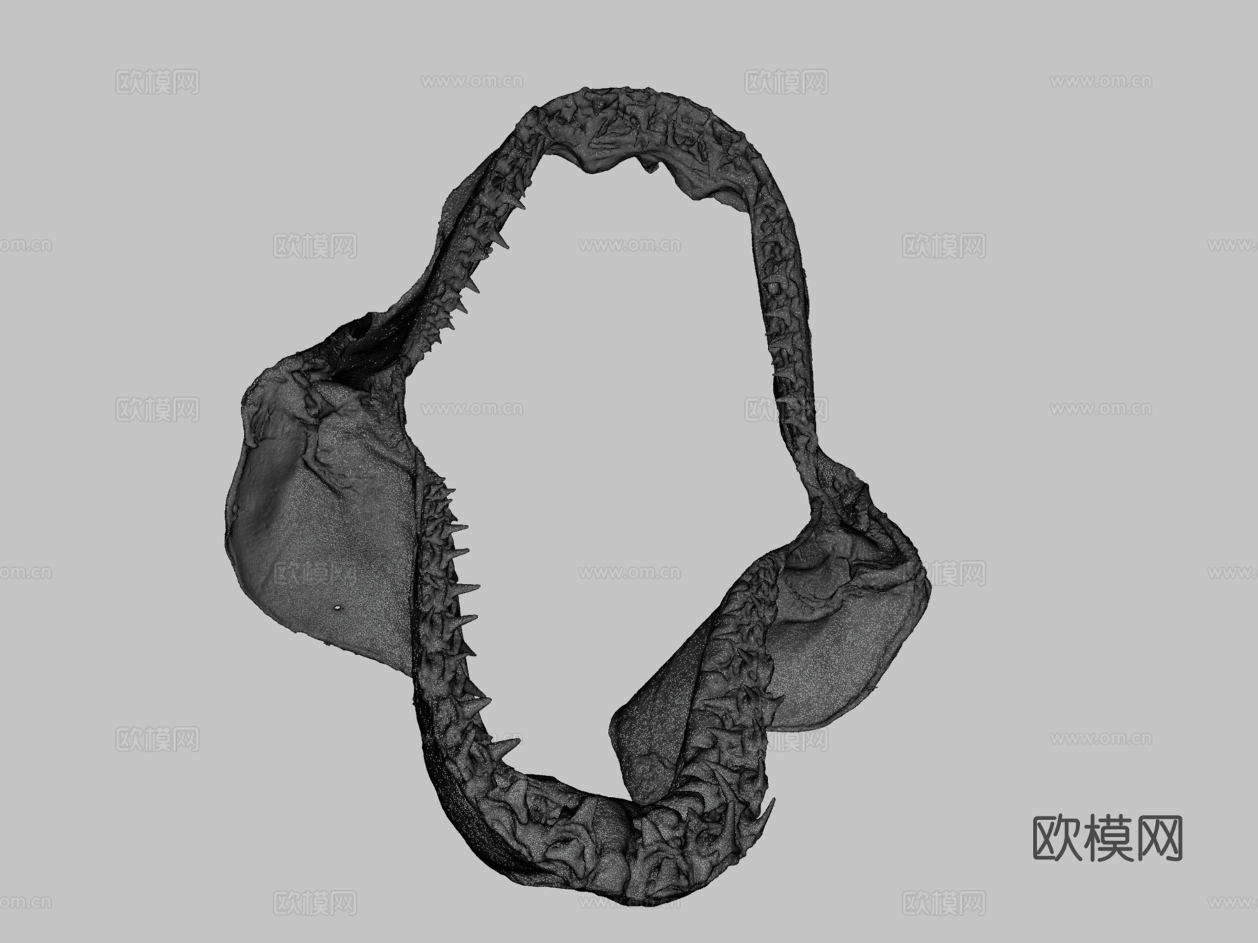 鲨鱼牙齿su模型下载（渲染图3）
