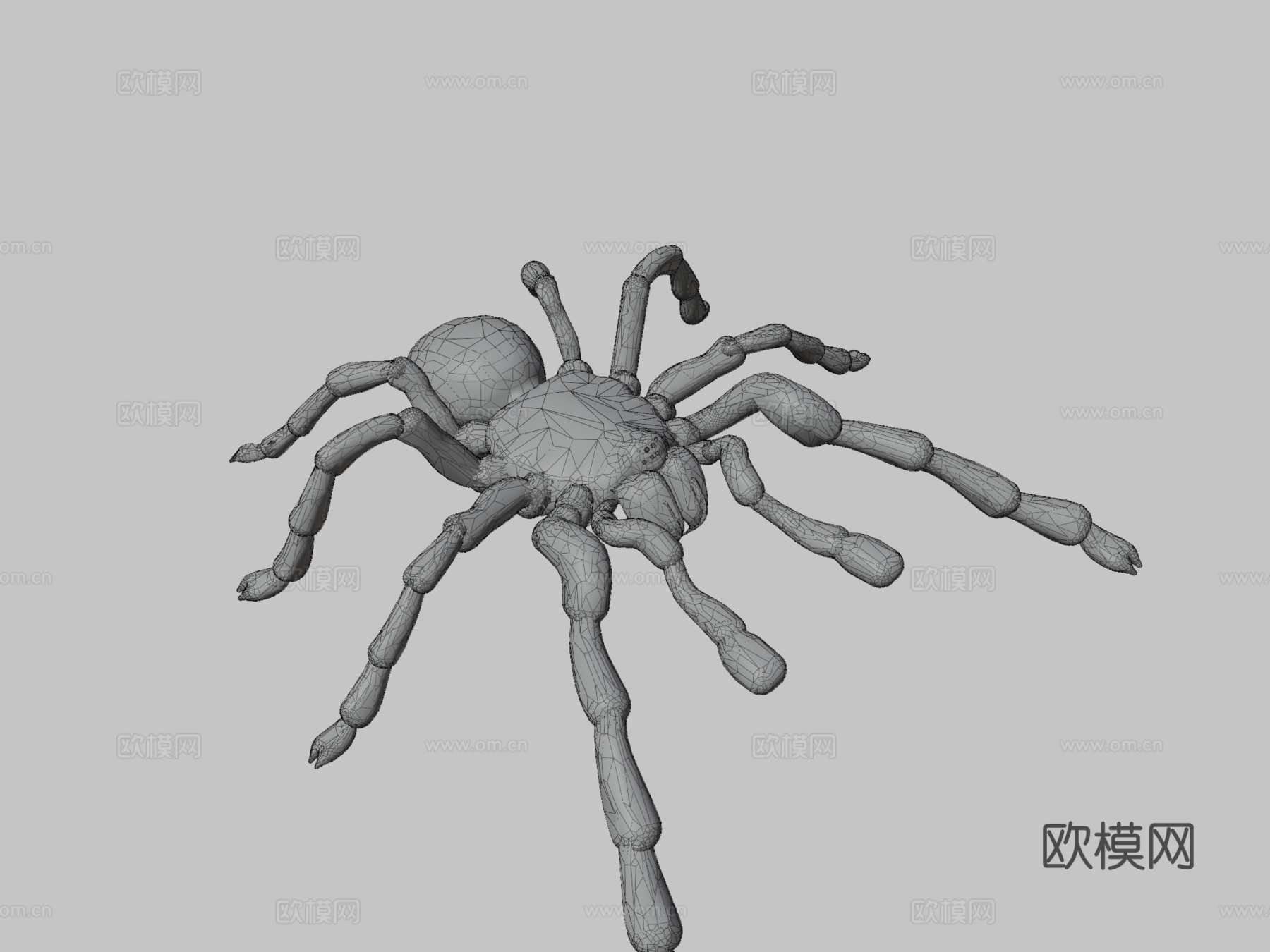 狼蛛su模型下载（渲染图3）