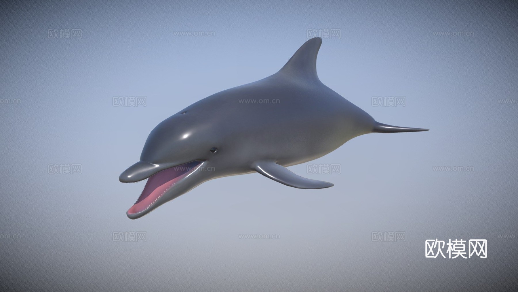 海豚su模型下载（渲染图1）